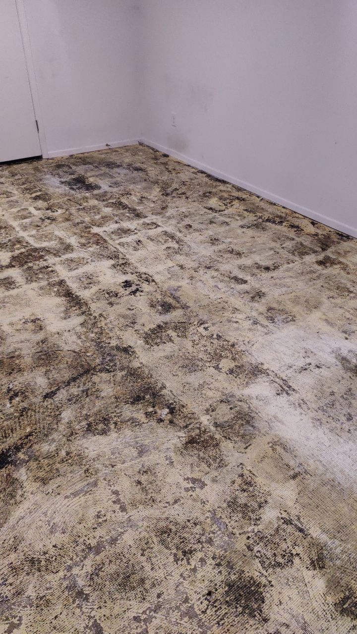 Water Damage by Accountable Home Services