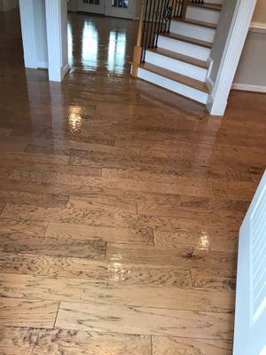 Hardwood Renewal 