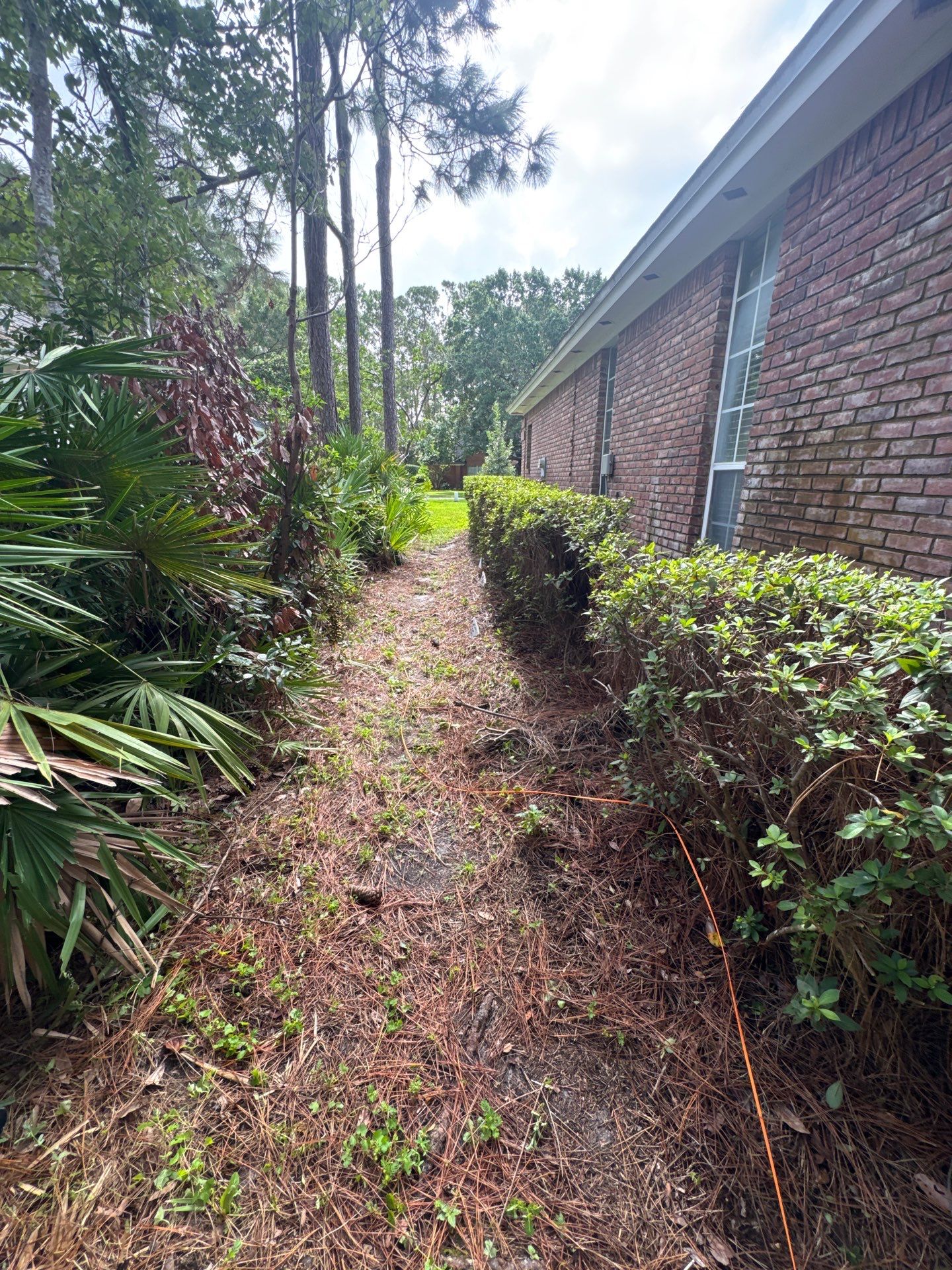 Residential | Shrub Trimming by ProGreen Services