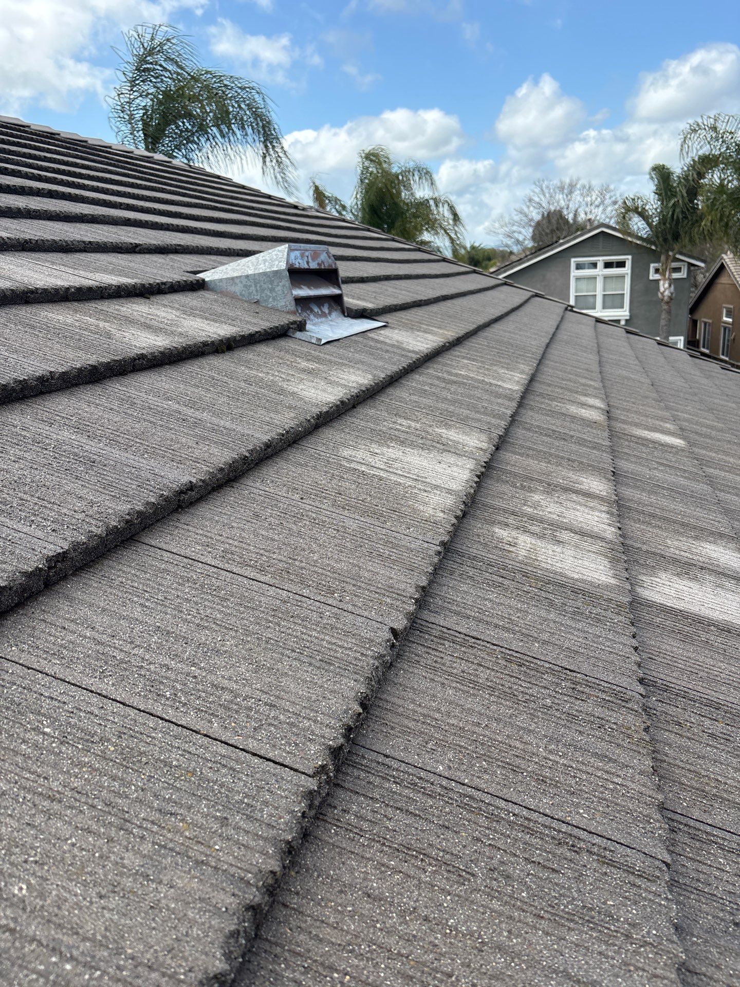 Moss Removal by Top Elevation