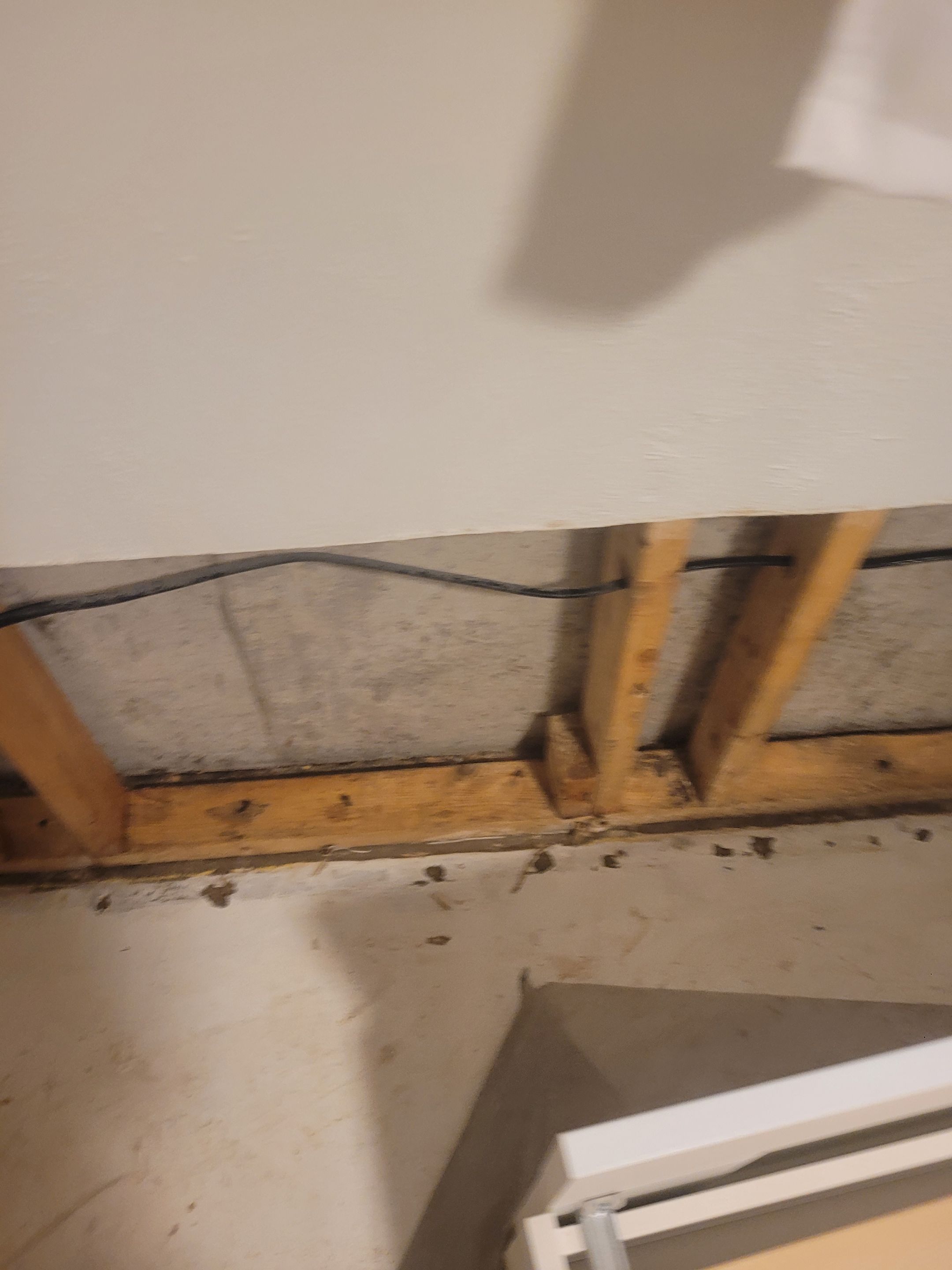 Water Damage  by Accountable Home Services