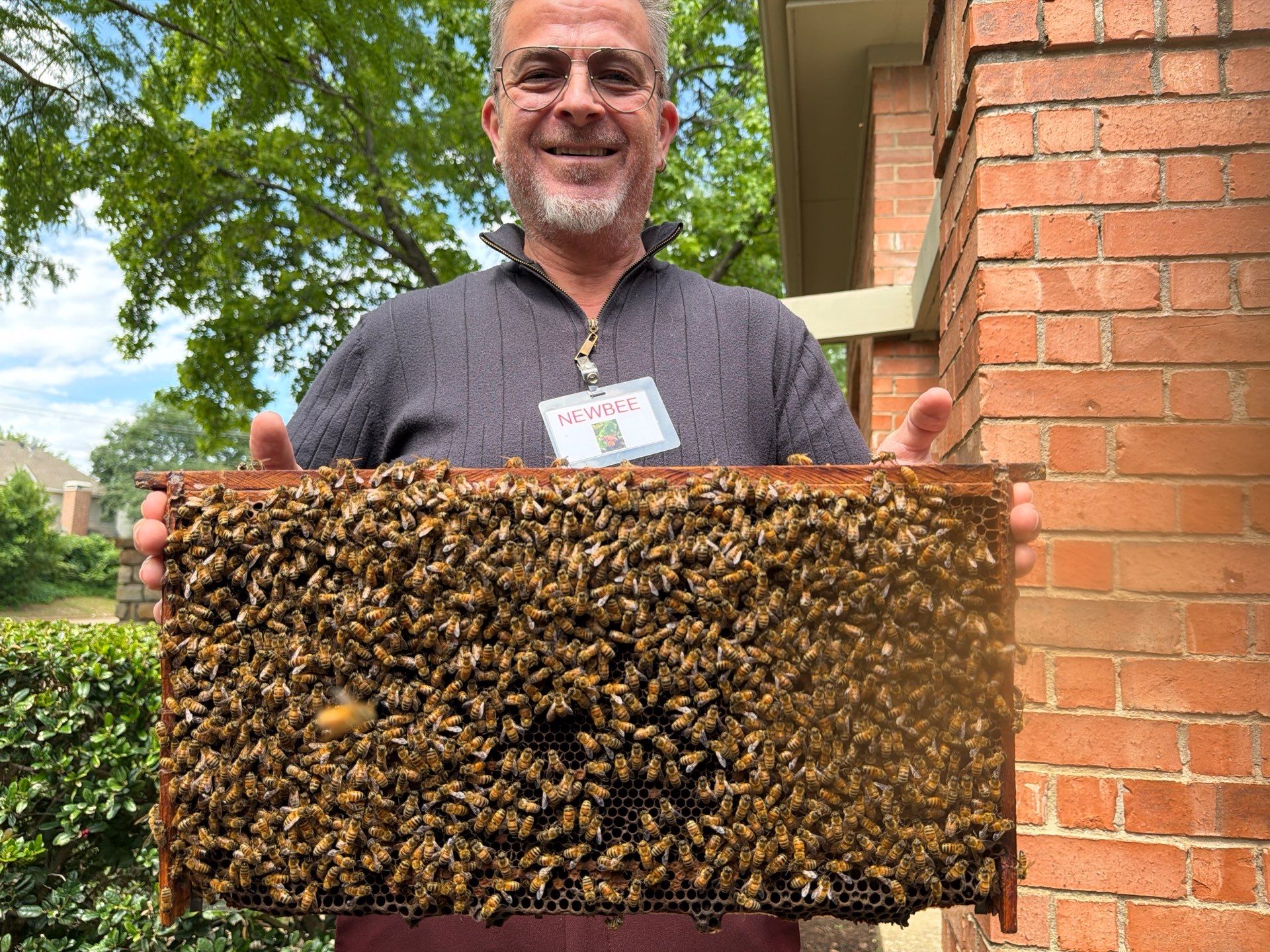 Apartment Retreat for Honey Bees in Garland by Rockwall Honey Bee Company