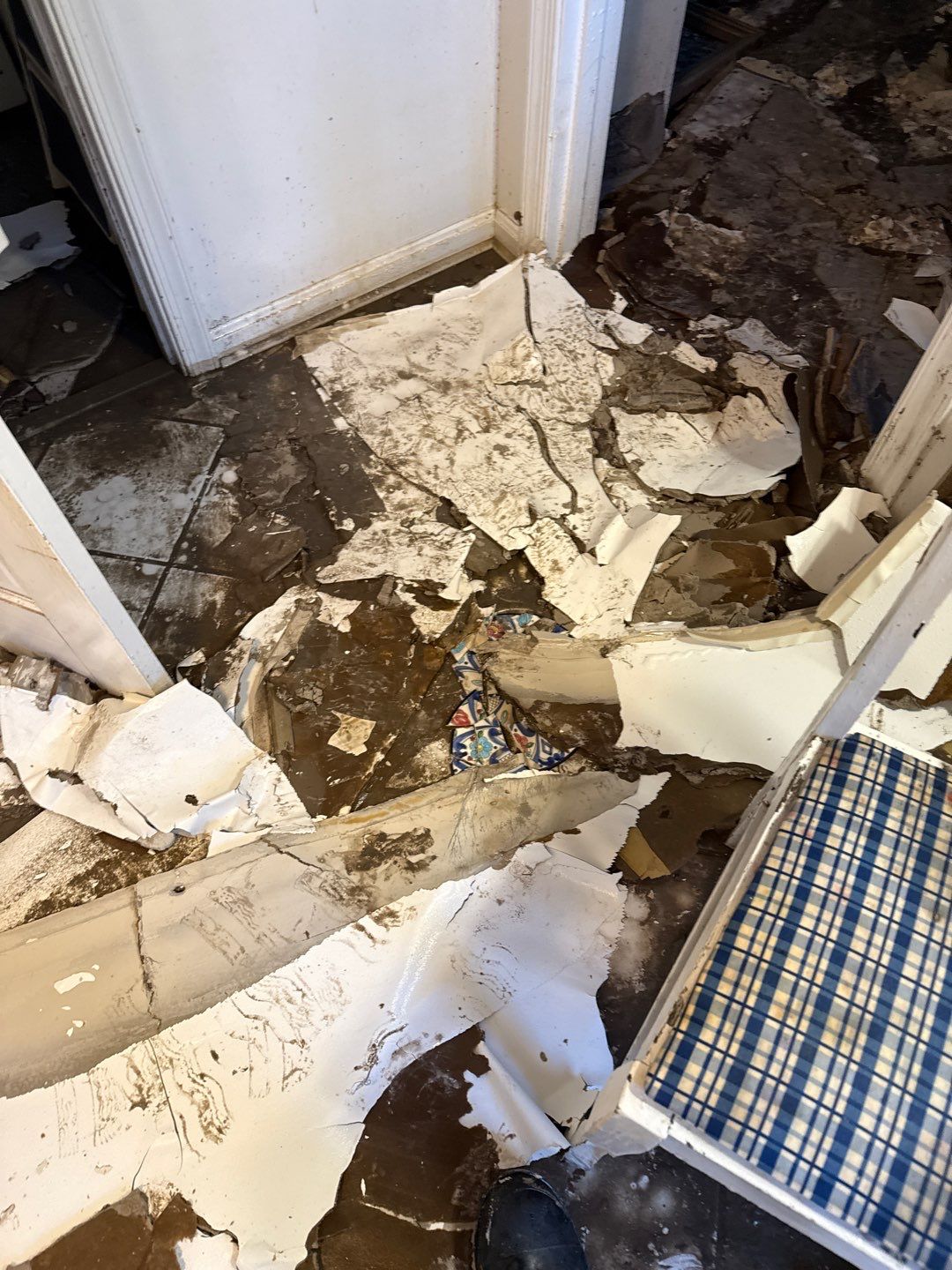 Large‑Loss Water Damage, Structural Drying & Mold Remediation – Rehoboth Beach, DE by Healthy Home Solutions