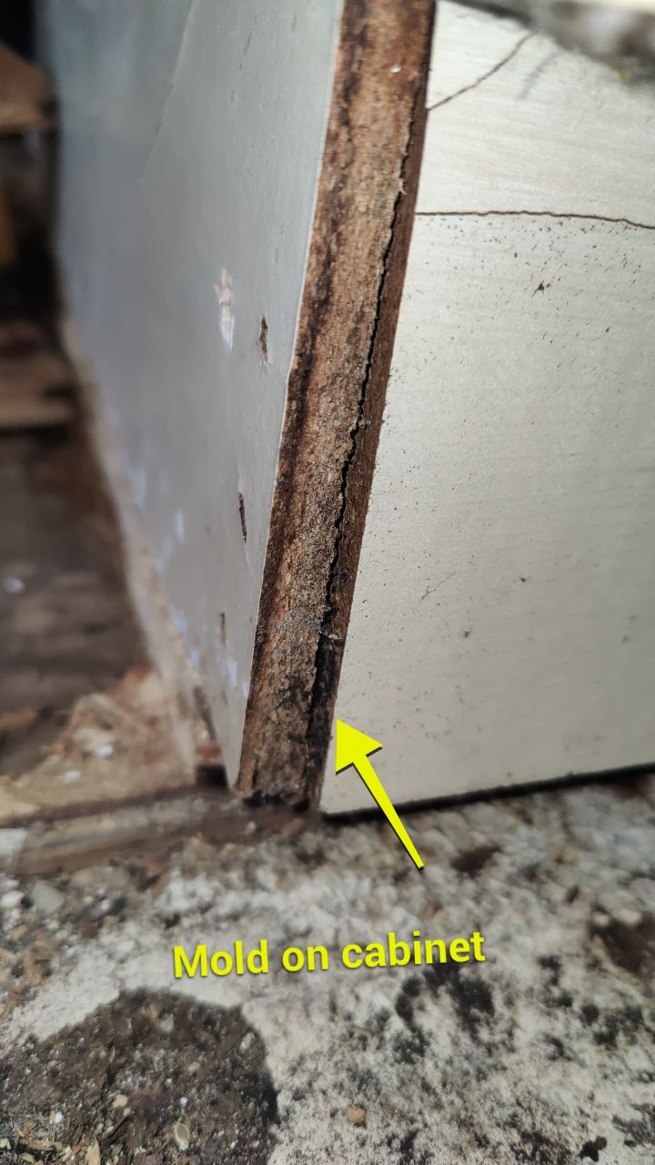 Mold Damage by Accountable Home Services