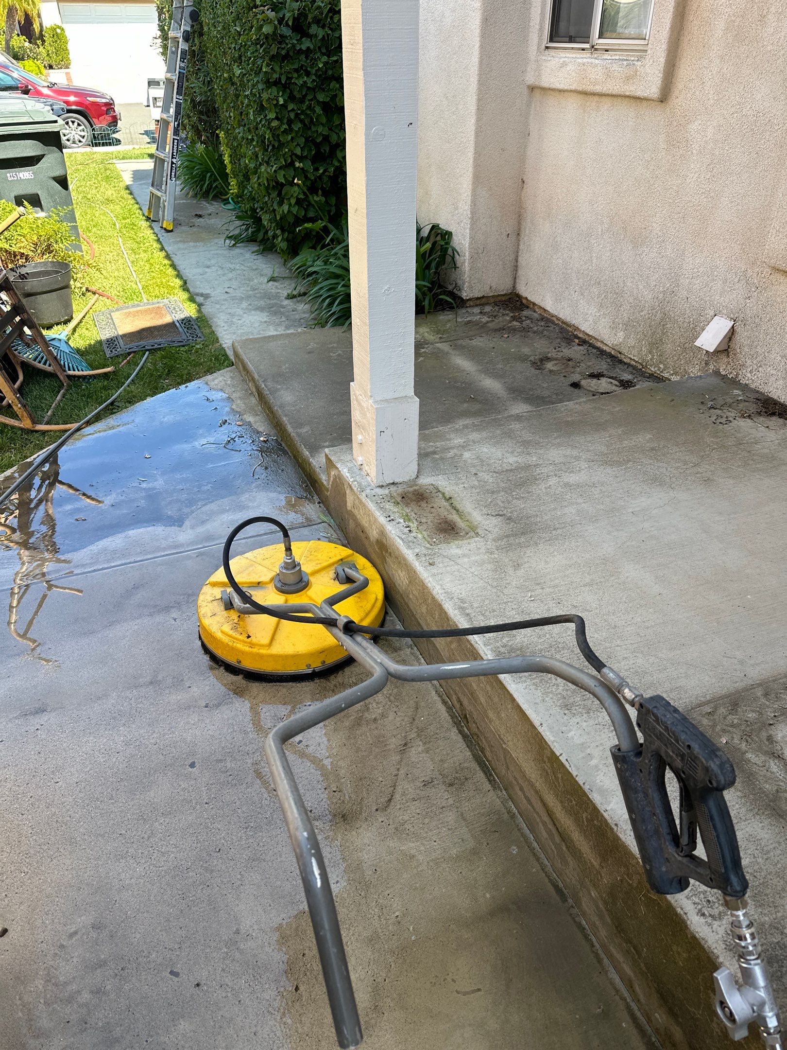 This home was COVERED in growth by Property Cleaning Experts, LLC
