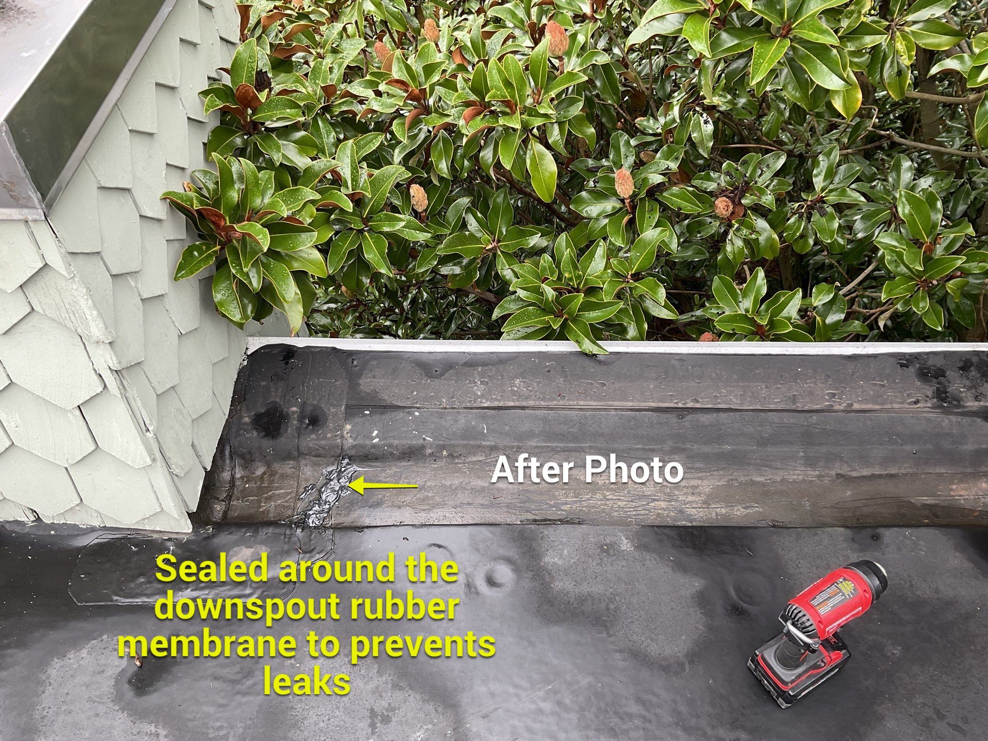 EPDM Repair  by Alpha Design Services