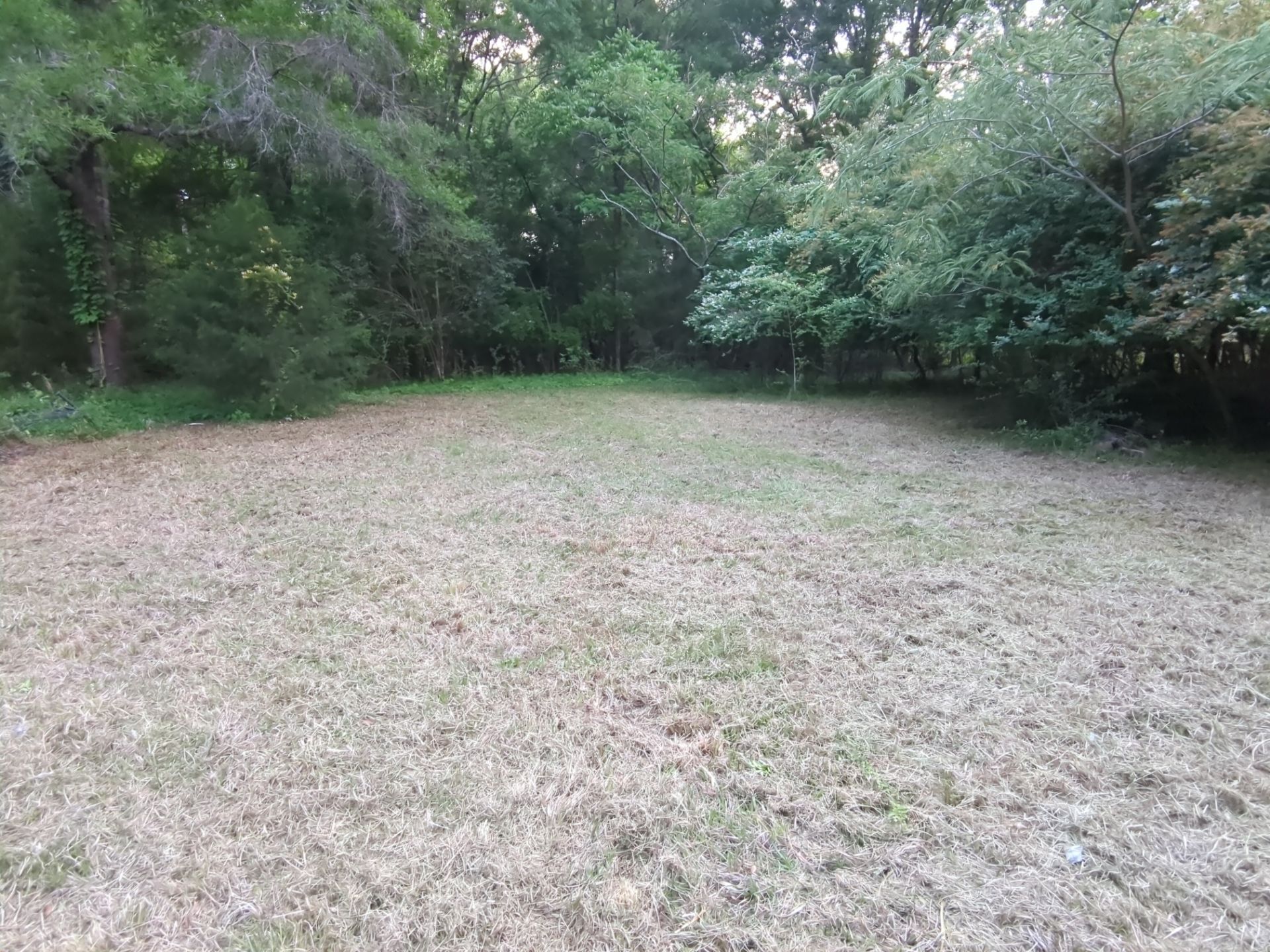 Exterior Clearing - tree trimming - grass cut by Swift Signings and Services LLC