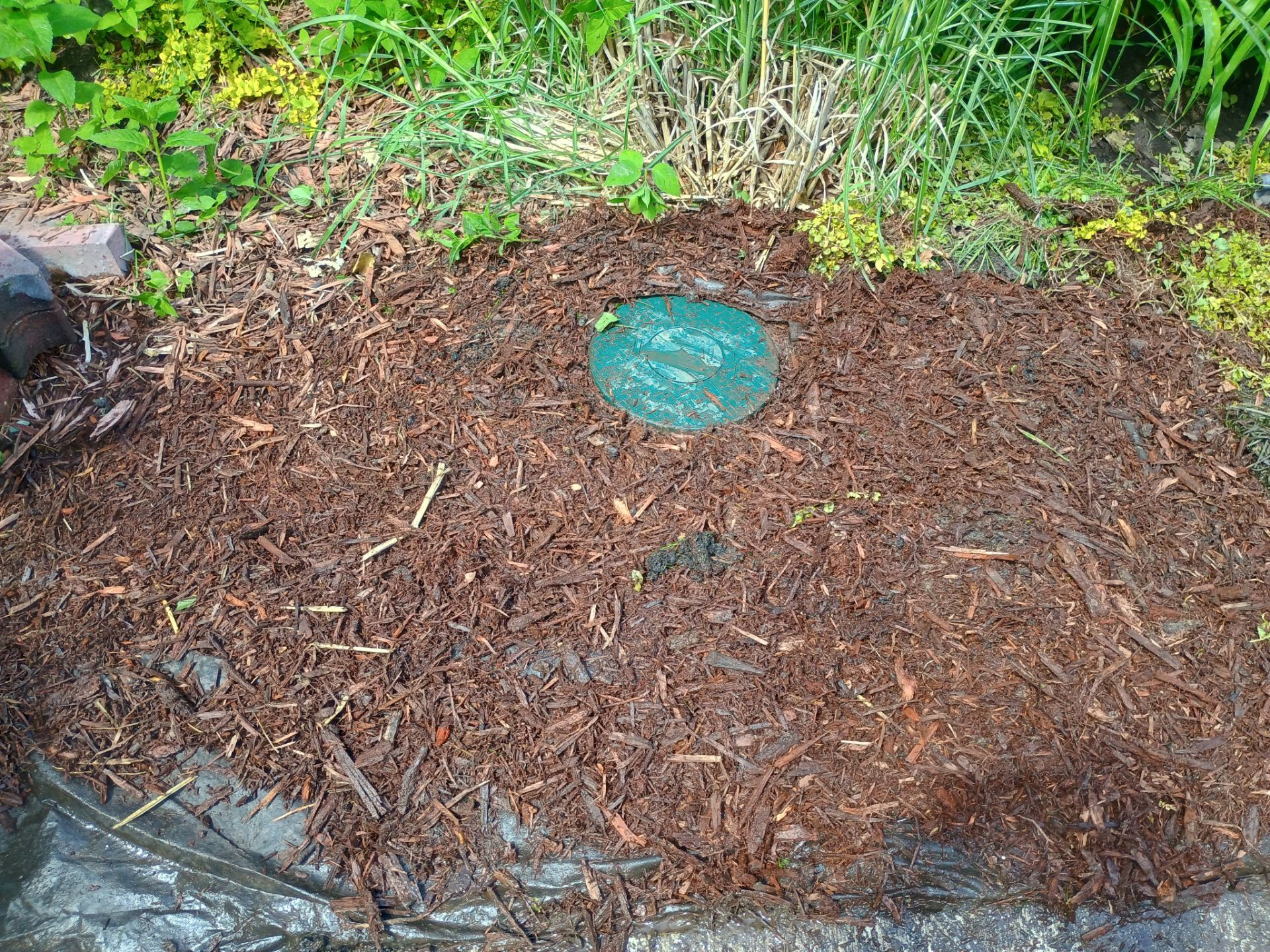 Buried Yard Drainage Installation in Plymouth, MN by Waterproofing Northeast
