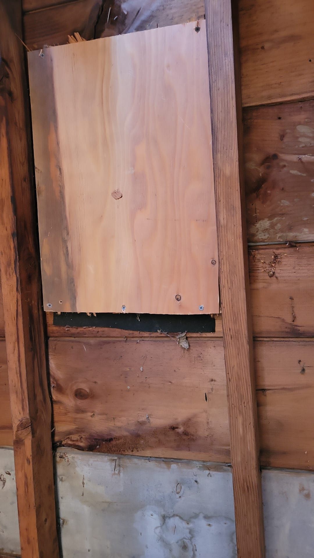 Roofing & Windows | Littleton by Mighty Dog Roofing of Greater Middlesex County