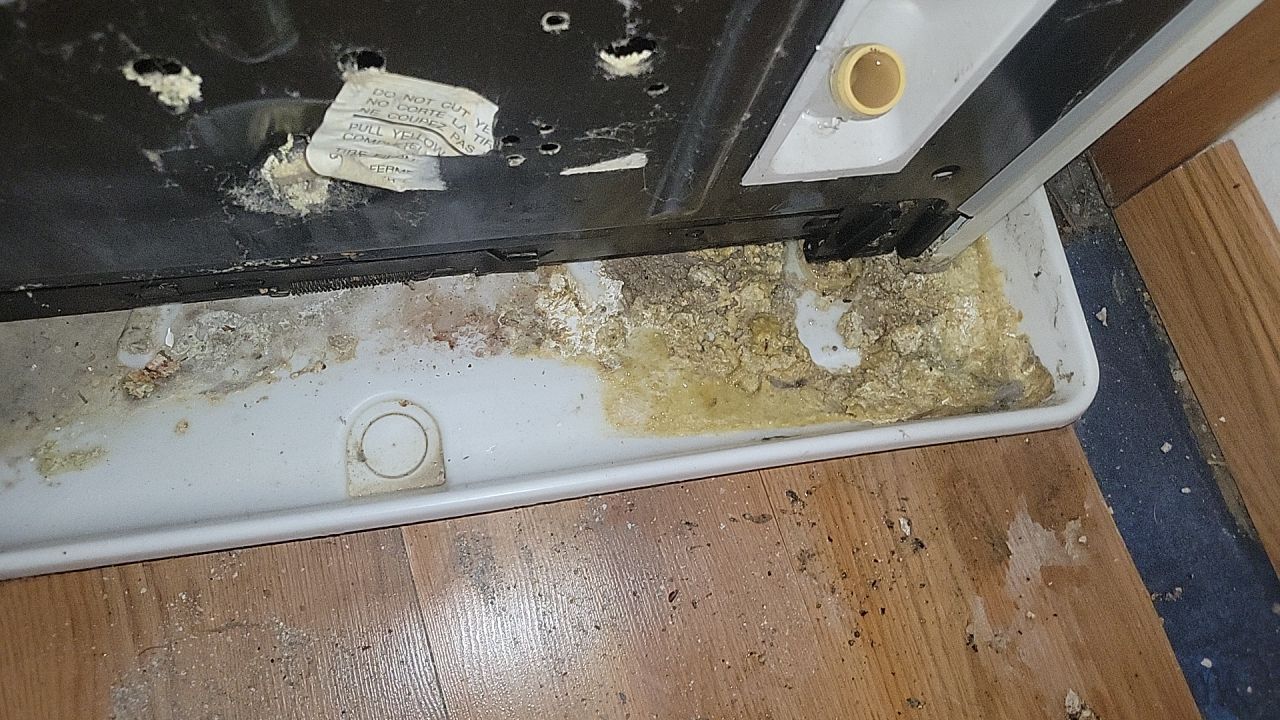 Water Damage by Accountable Home Services