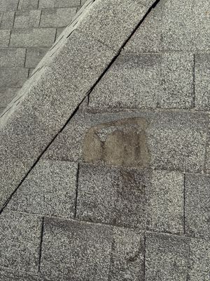 Roof Replacement in Spring TX