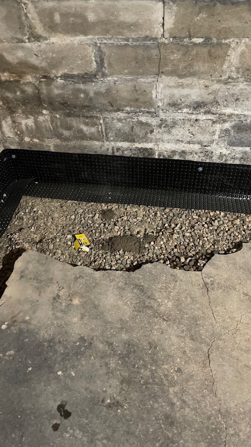 South Minneapolis Renovation by Waterproofing Northeast