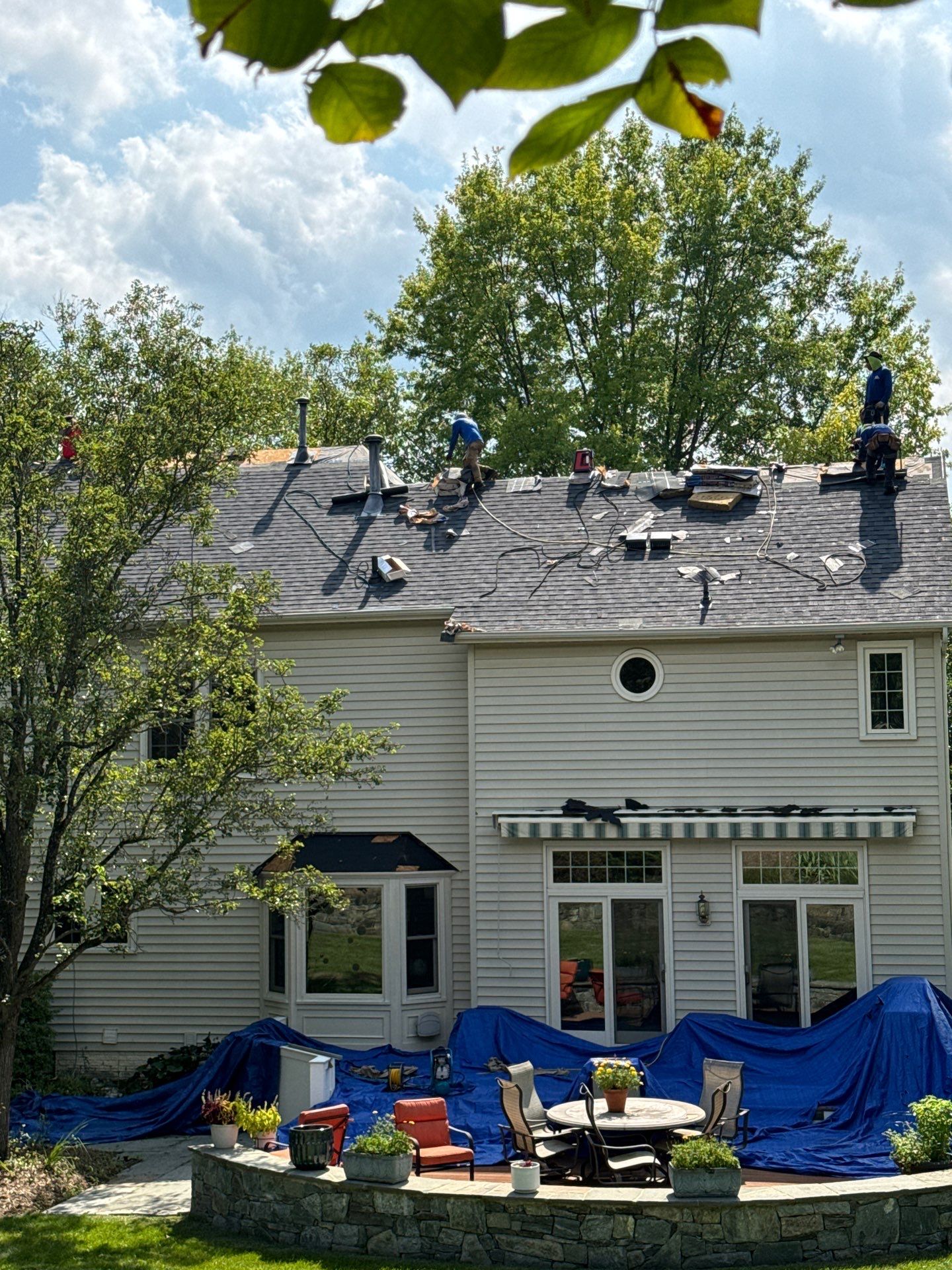 New Shingle Roof & New Gutters and downspouts with covers by Alpha Design Services