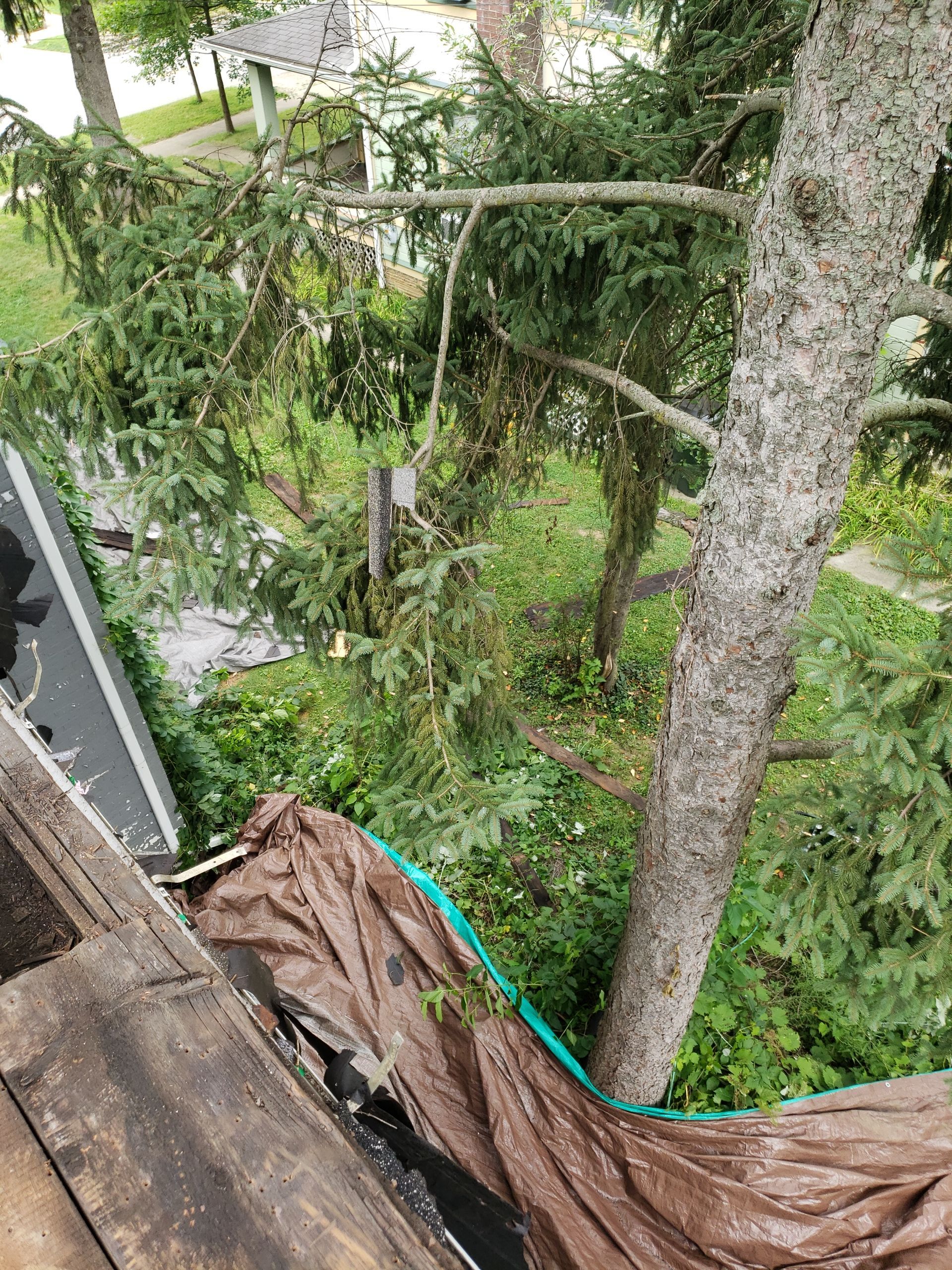 ATLAS PINNACLE COLOR: MAJESTIC SHAKE DRIP EDGE: WHITE by Eagle Eye Roofing