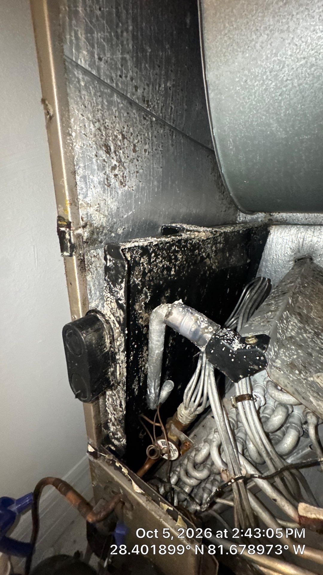 Air Duct, Blower & Dryer Vent Cleaning in Clermont by Hygienic Air, Inc