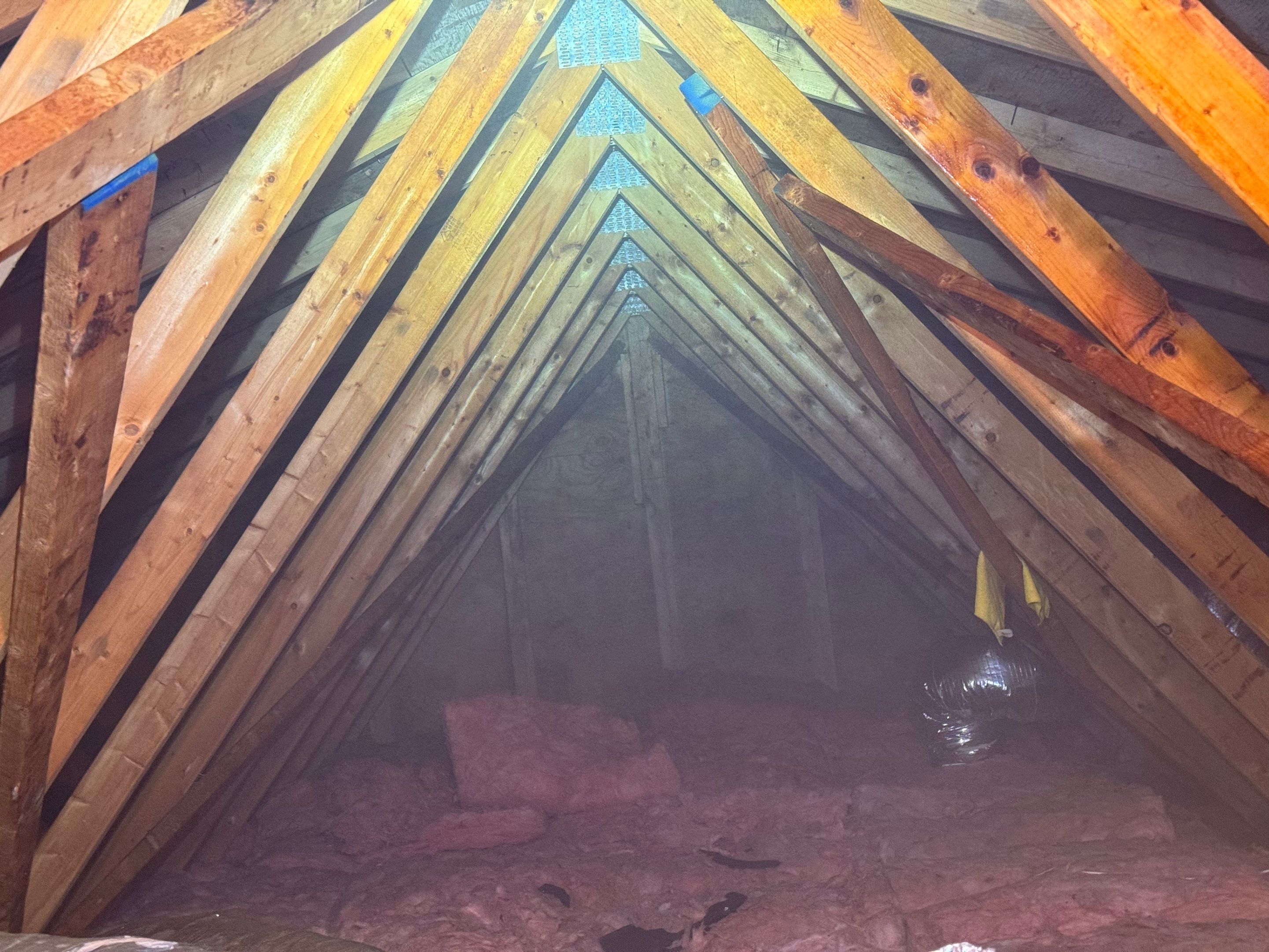 Attic Mold Remediation by Home Guarantee, LLC