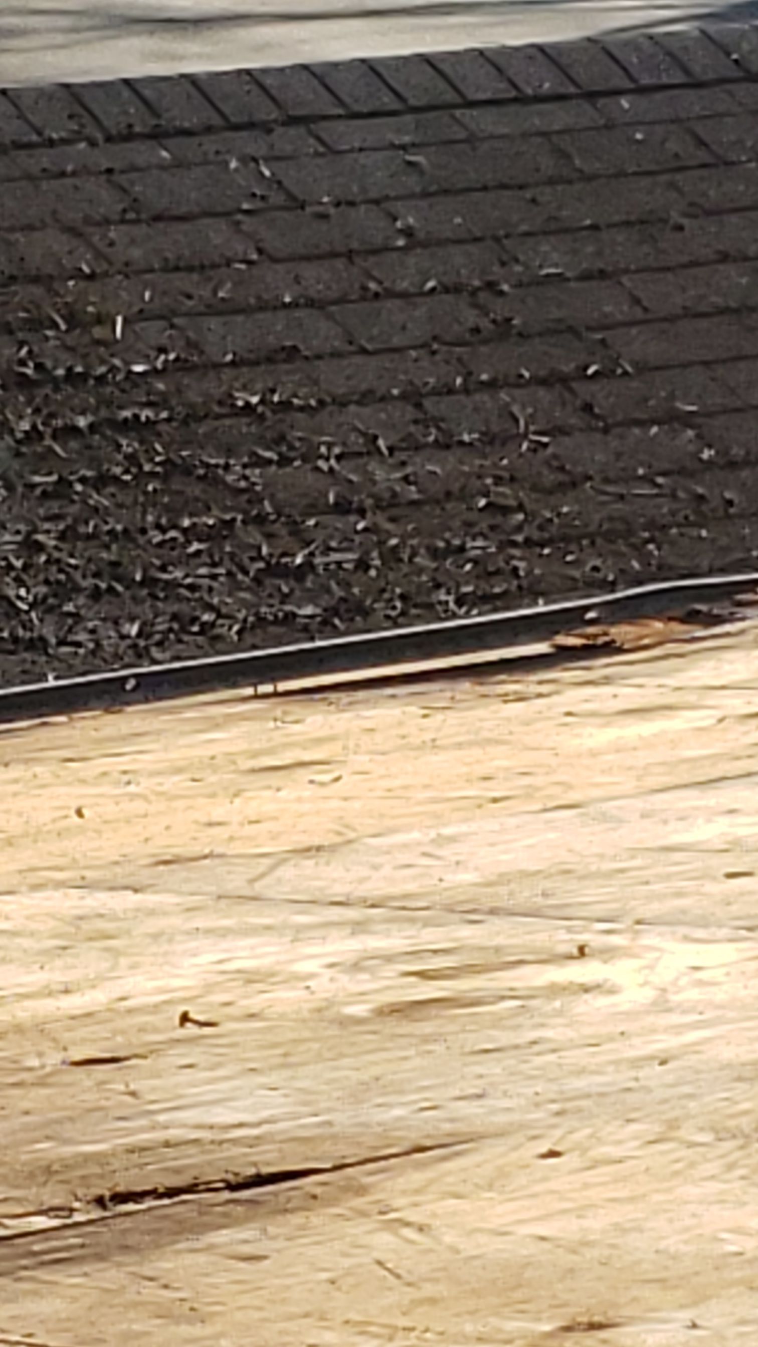 CT LANDMARK 30 LIFETIME METRIC PEWTER , DRIP EDGE BLACK  by Eagle Eye Roofing