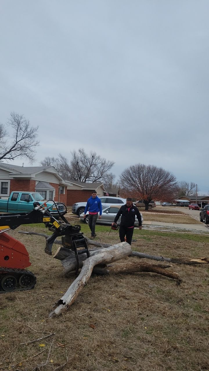 Tree Removal using Chainsaws by Clays Services Inc