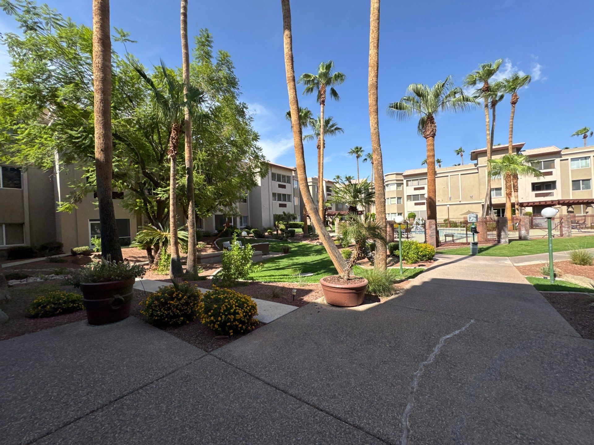 Project in Sun City by Crush Development Services LLC