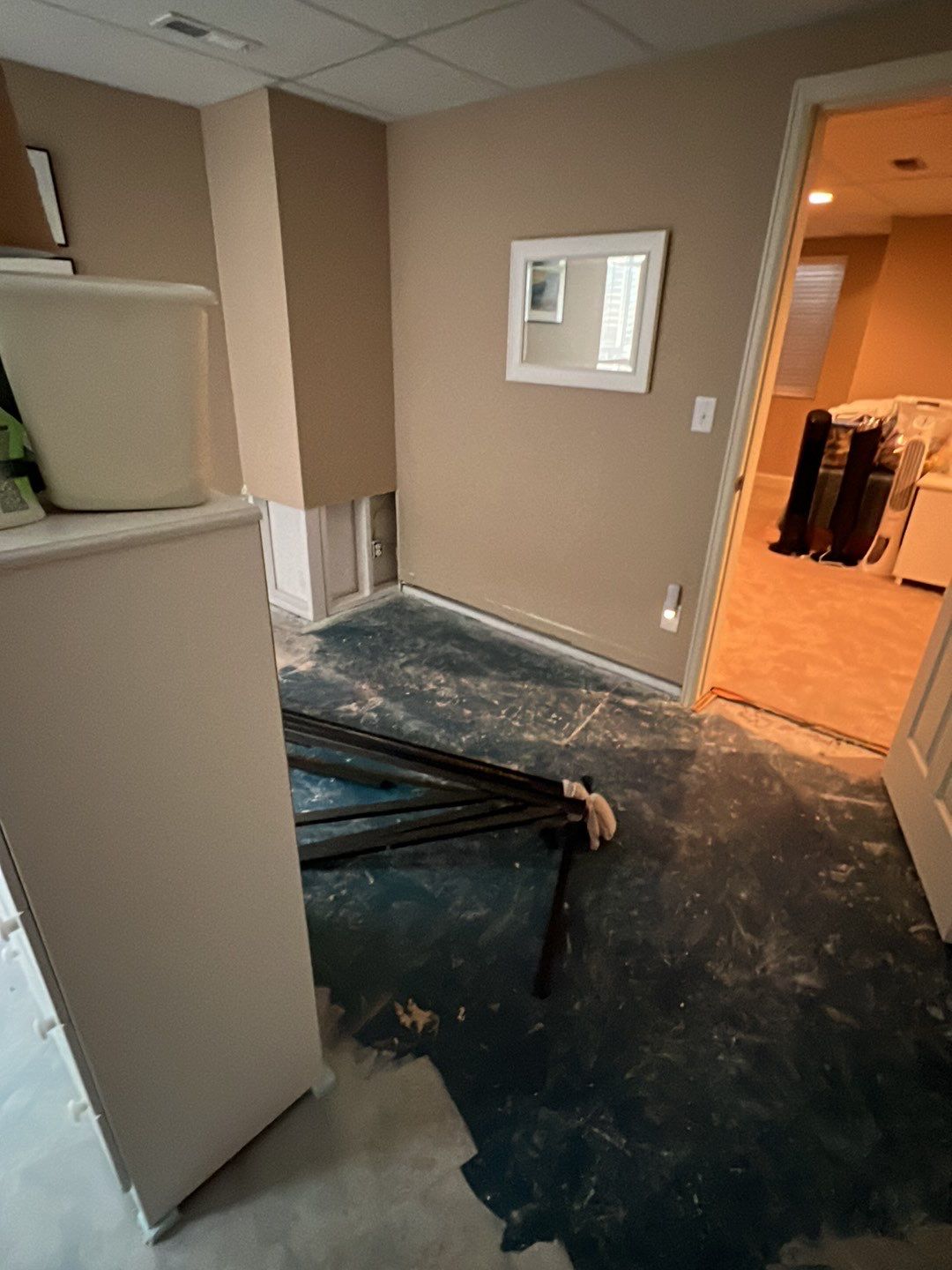 Mold Damage by Accountable Home Services