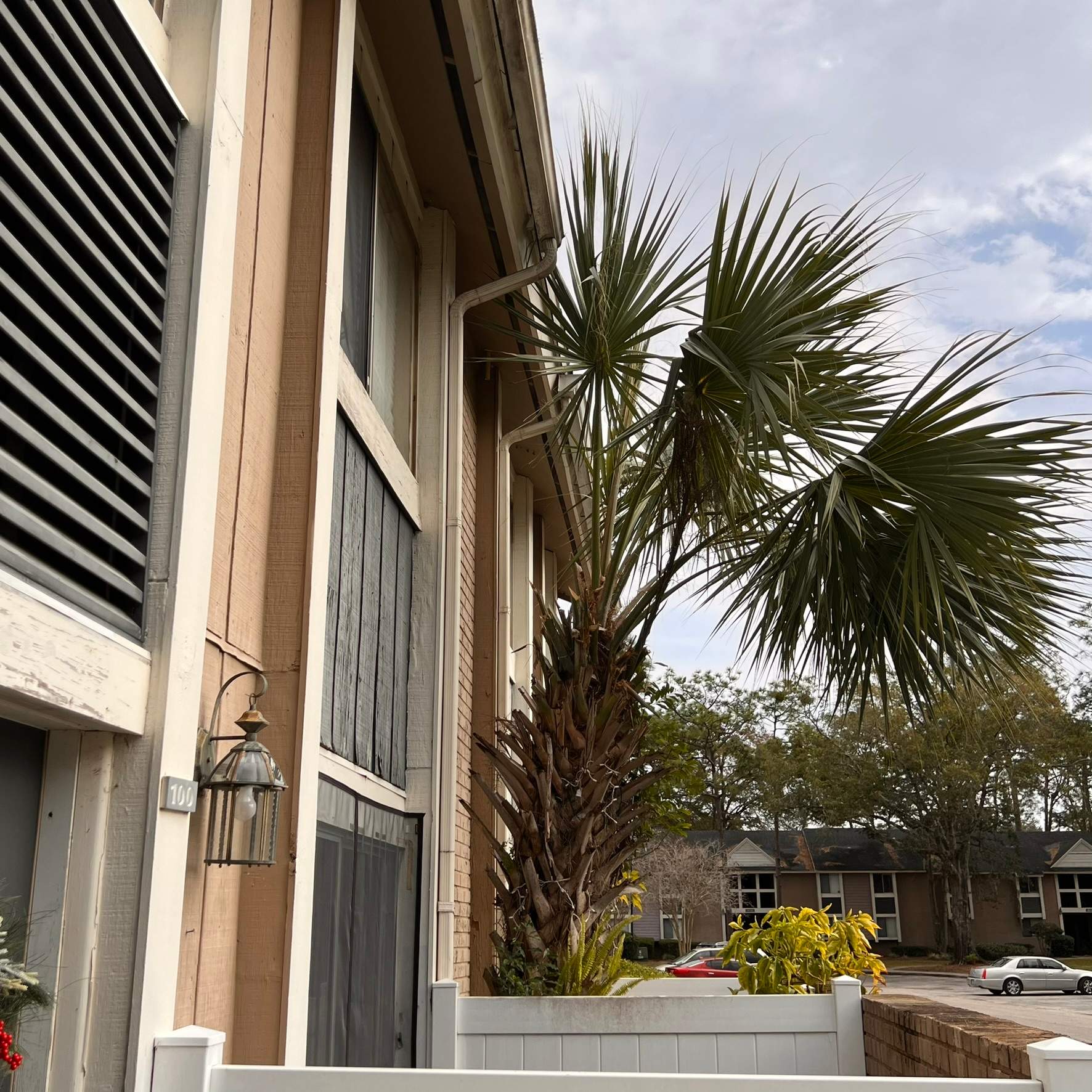 Tree Trimming | Preserve at San Jose by ProGreen Services