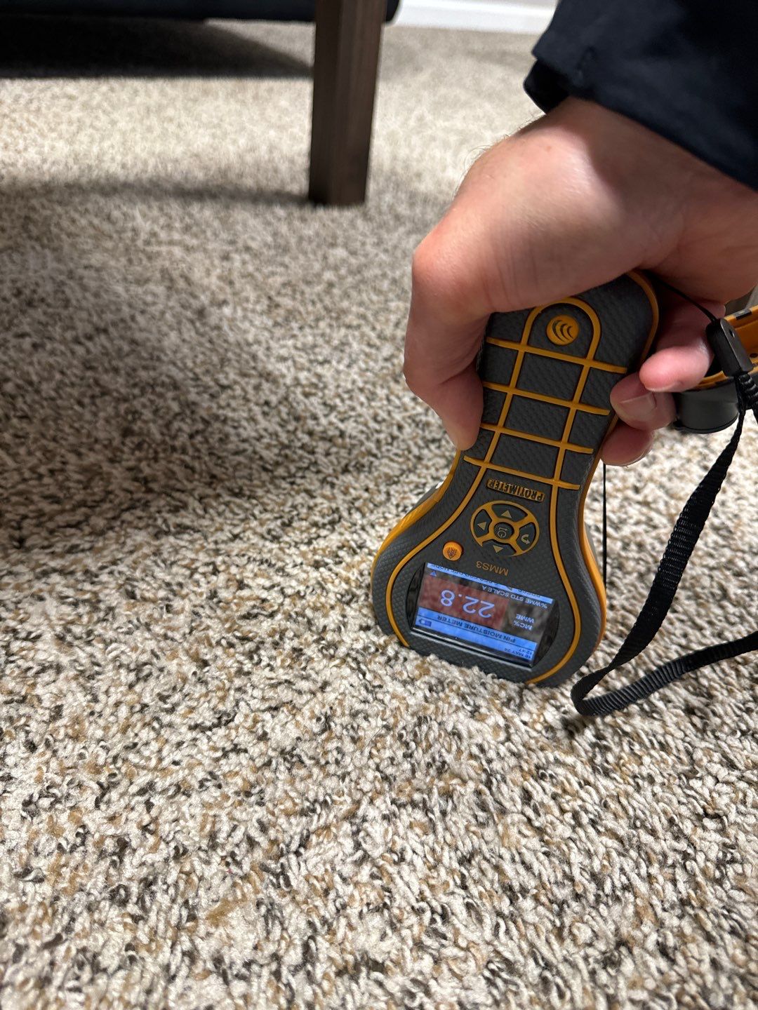 Project in South Lyon by EzDry Water Mitigation & Property Restoration