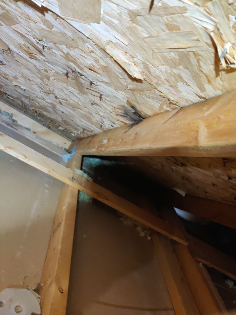 Mold Remediation Cleanup in Attic by Accountable Home Services