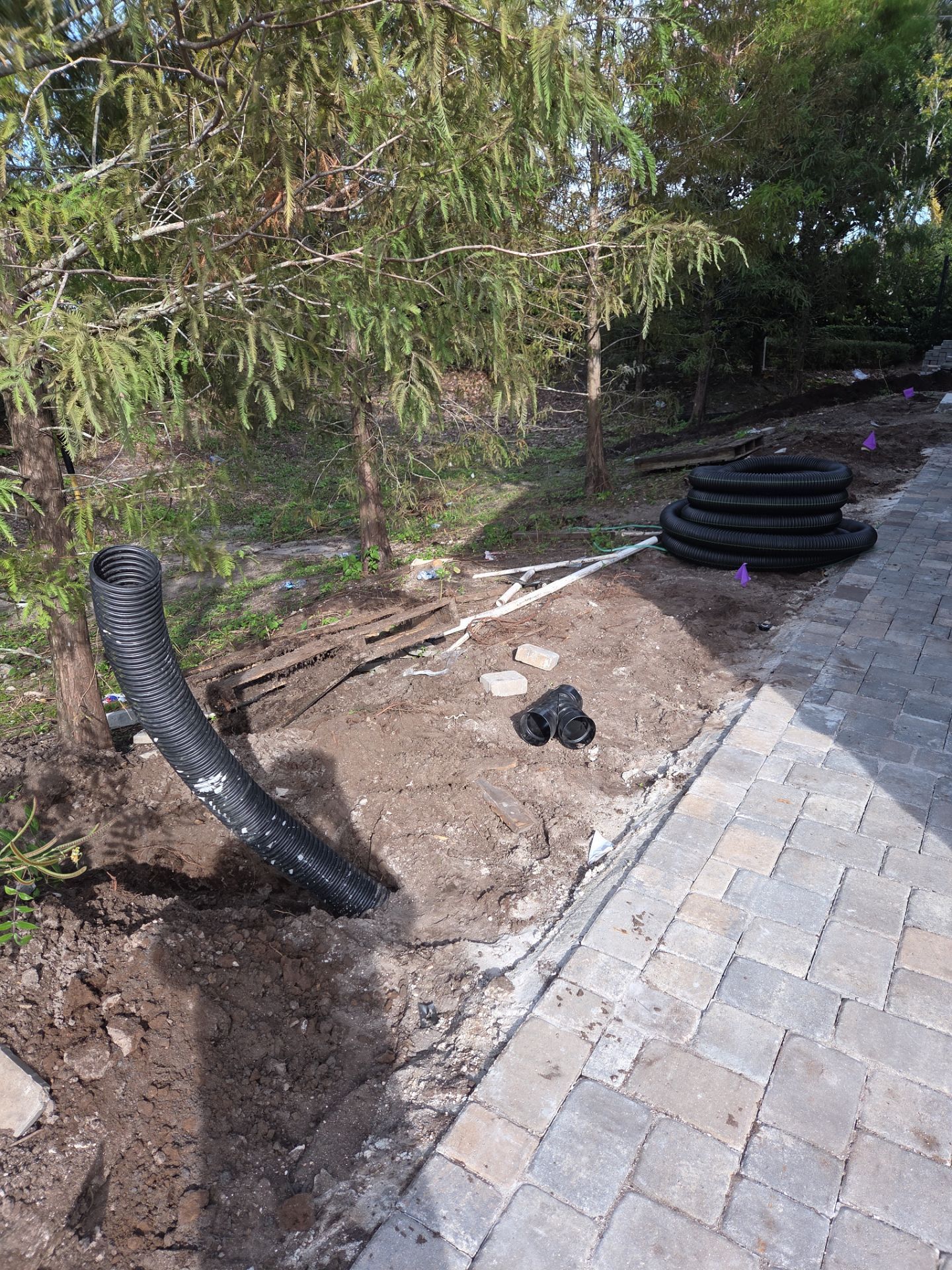 🌿 Magnolia Ridge | Drainage & Site Enhancement  📍 Palm City, Florida by Alpha Zeta Enterprises Inc