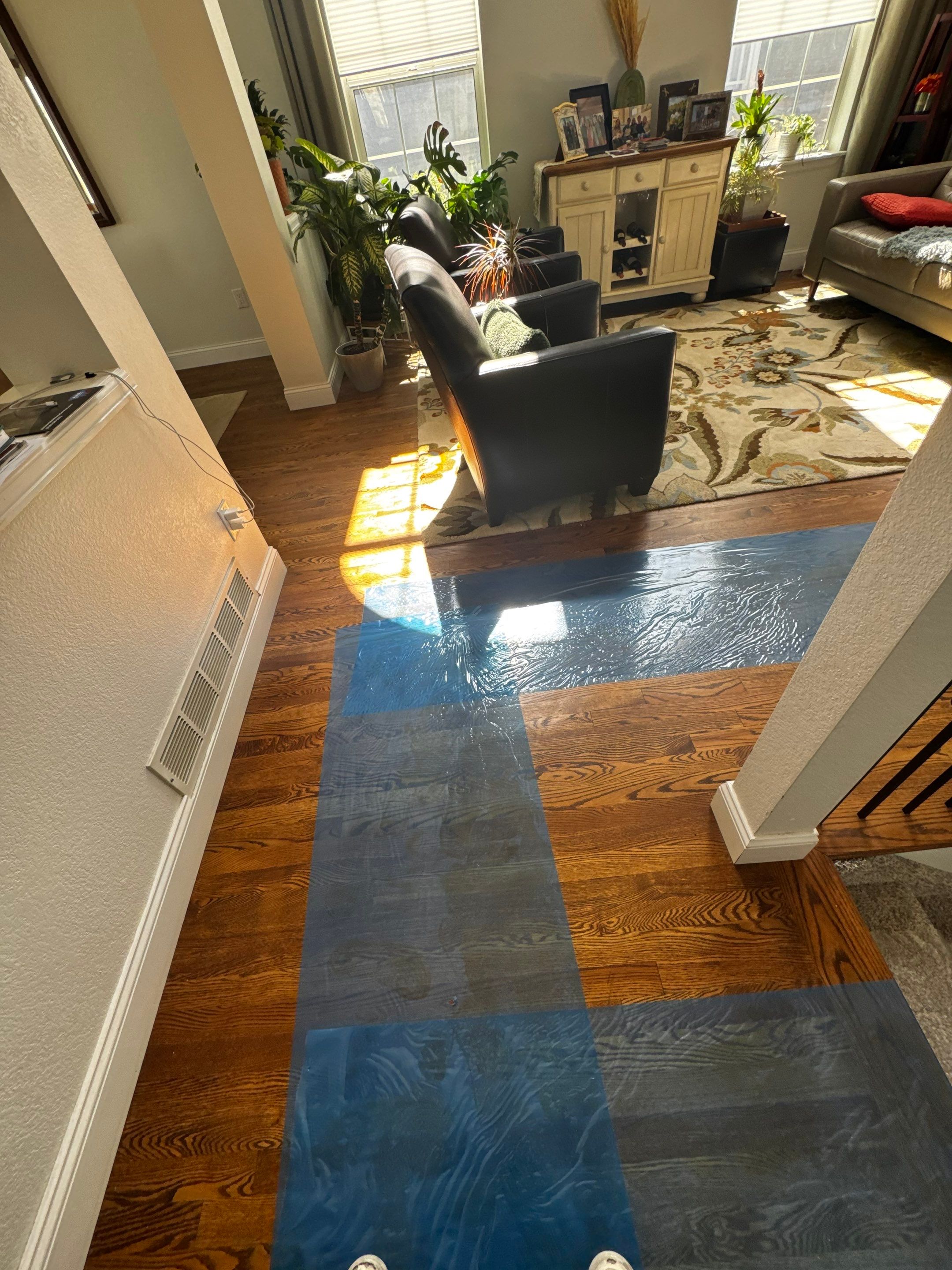 Mold Project in Thornton by Accountable Home Services