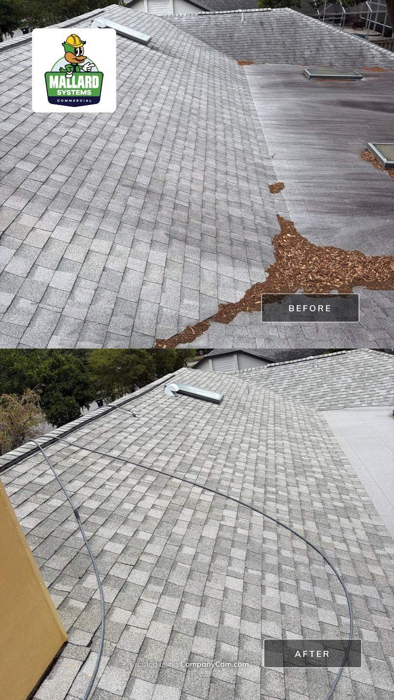 Shingle Roof Cleaning & Debris Removal  by Mallard Systems