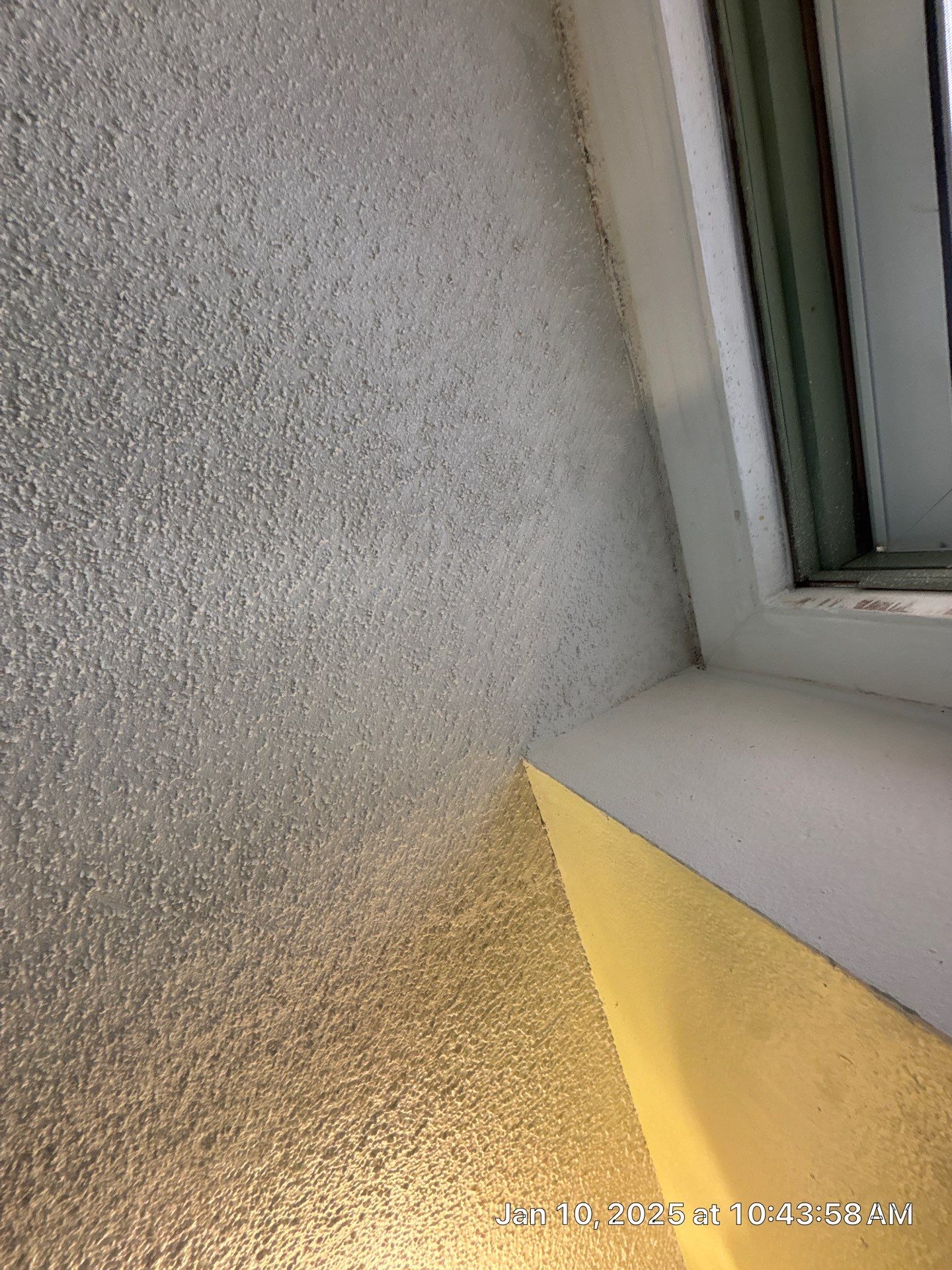 Pebble Springs Mold Remediation by Ampm Restoration Services