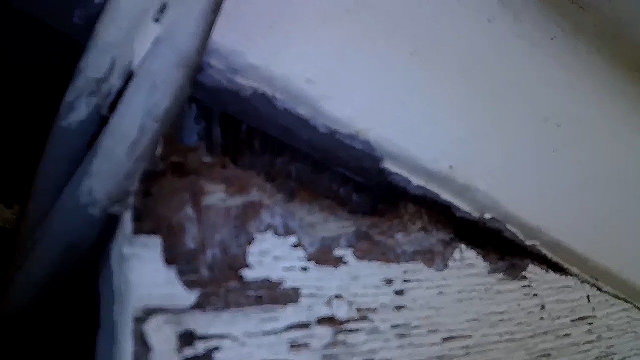 Soffit- End Squirrel entry by Abra Kadabra Pest And Wildlife 