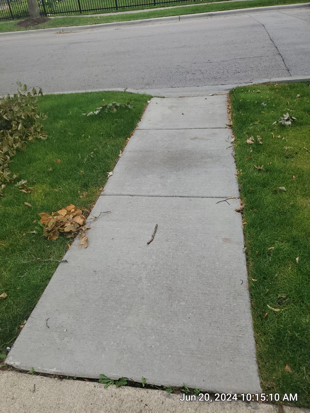 concrete cleaning using Algaecide, soft wash soap by Northern Power Washing LLC.