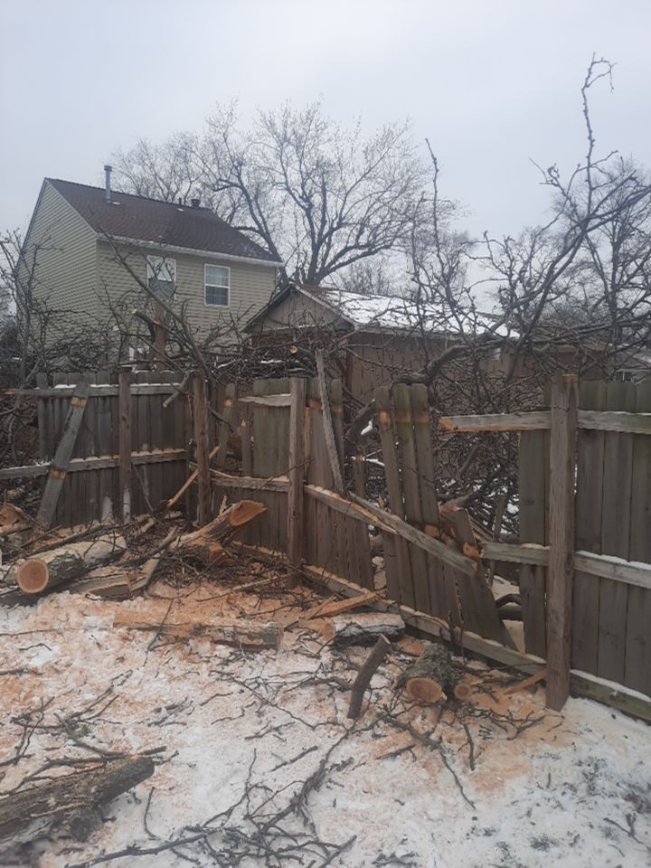 Storm Damaged Tree Removal  using Tree Removal by Mike Jones & Sons Tree Service LLC 