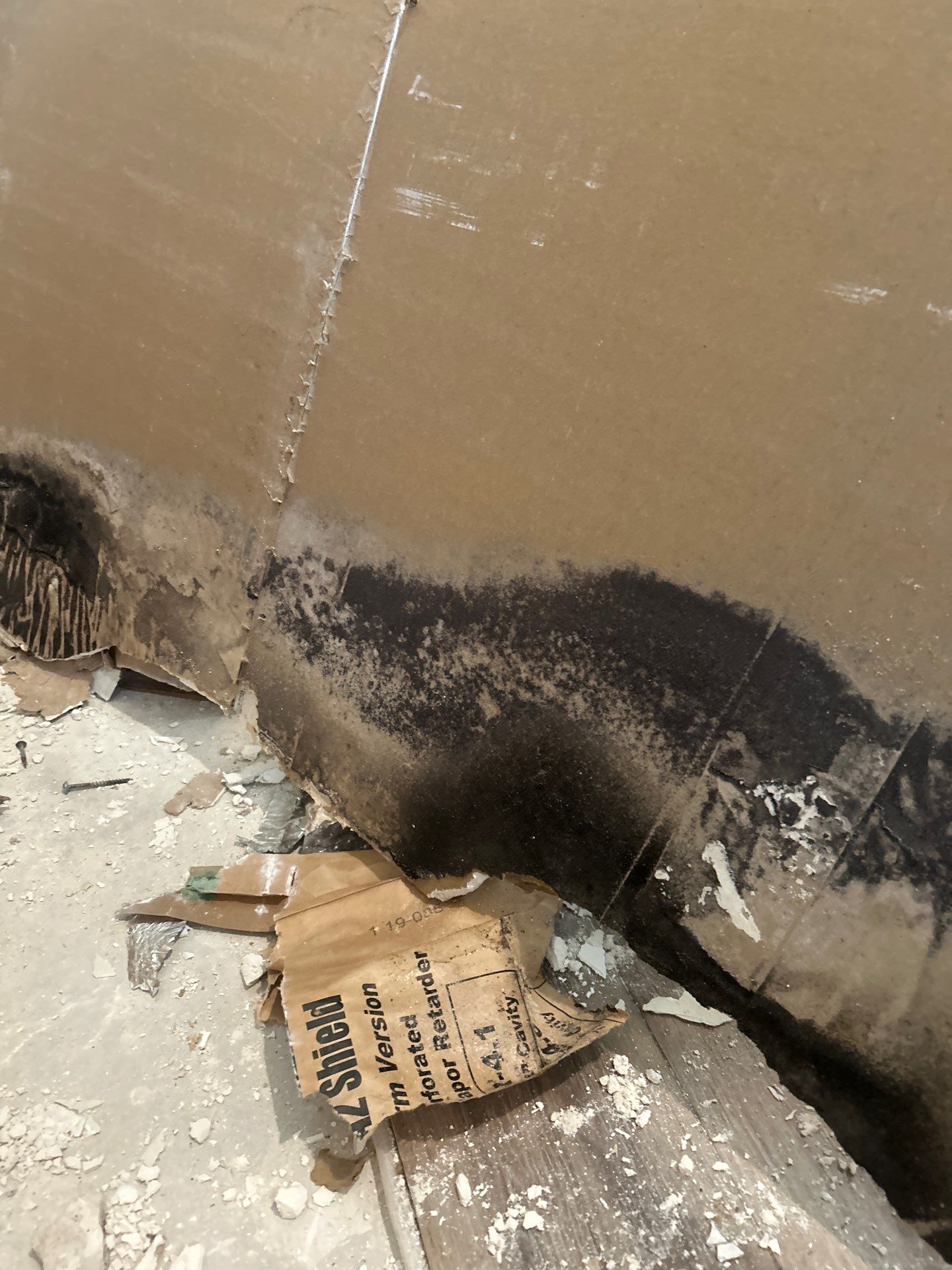 Palmetto Mold Removal & Repair by Ampm Restoration Services 