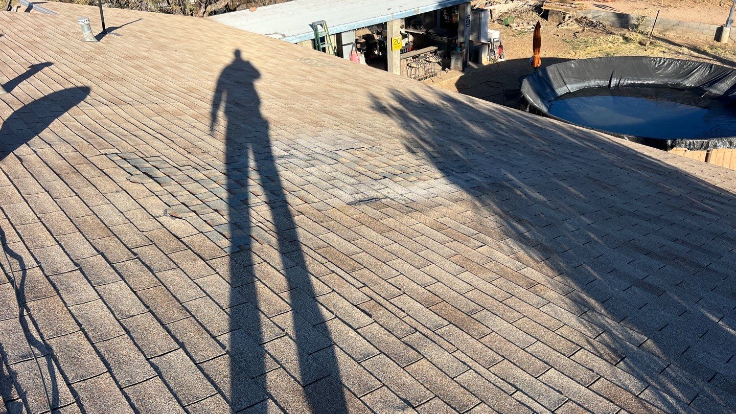 Silver Birch Shingles by Reimagine Roofing