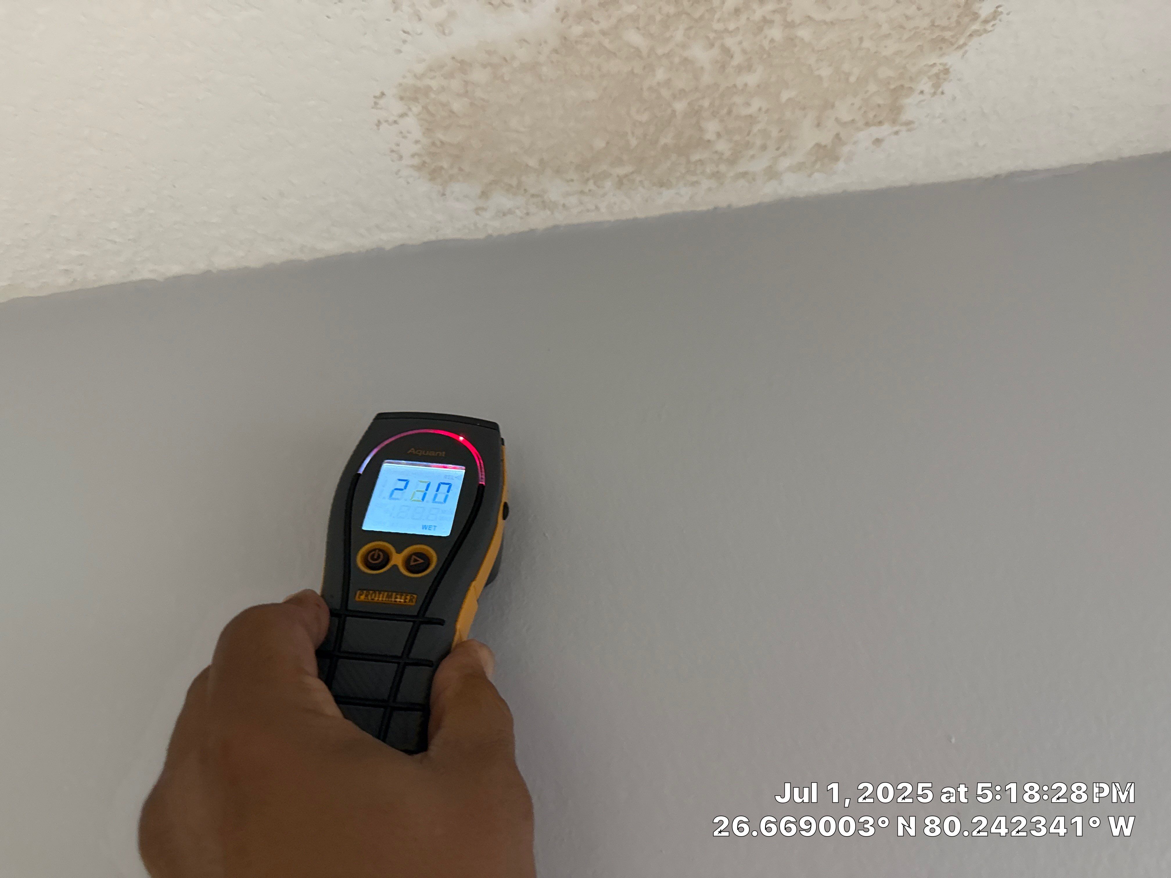 Mold by SuperClean 