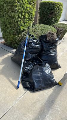 Best Gutter Cleaning In Irvine!