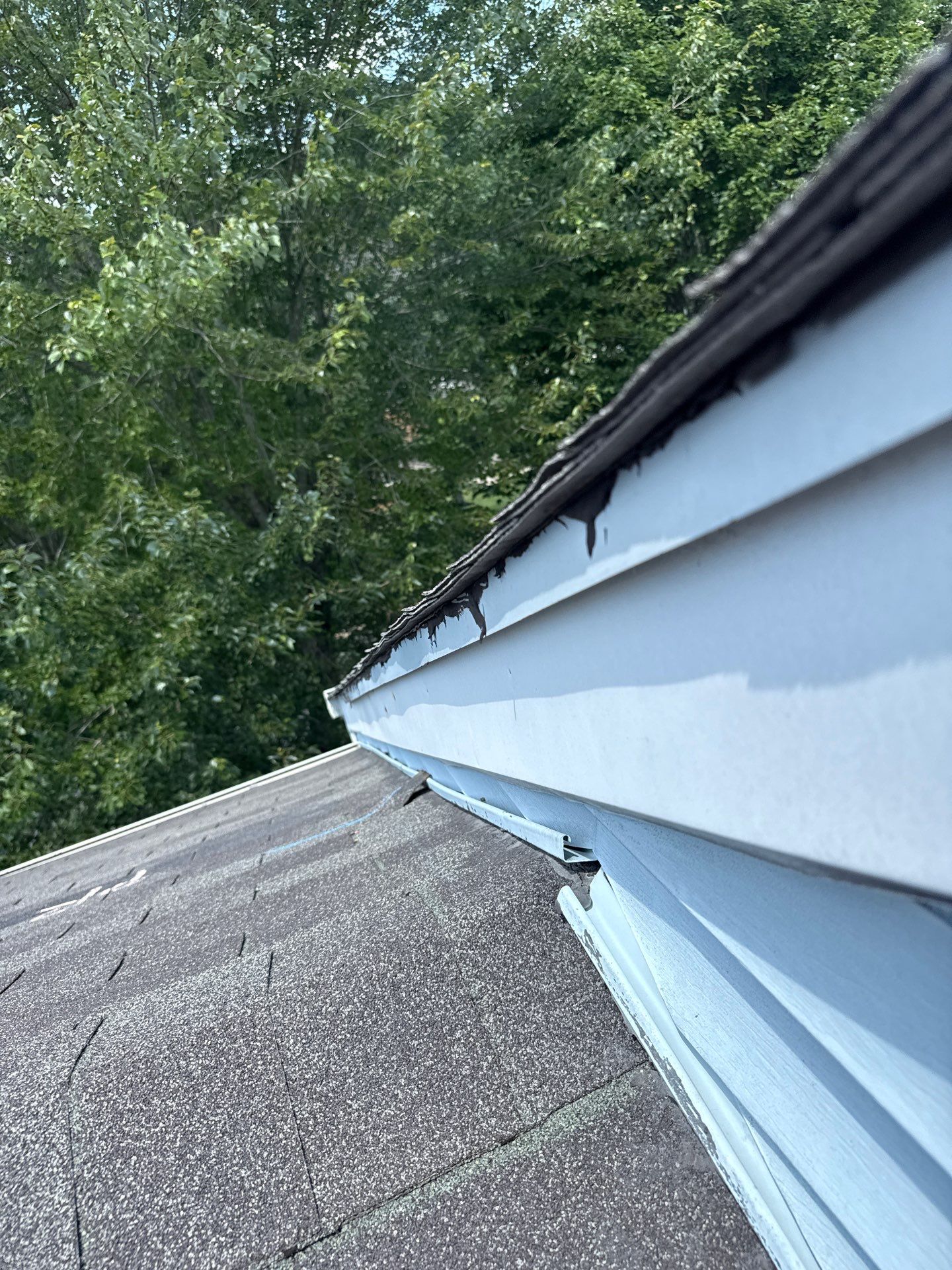 Roof replacement by hail and wind damage by Just Brilliant Restoration JBR