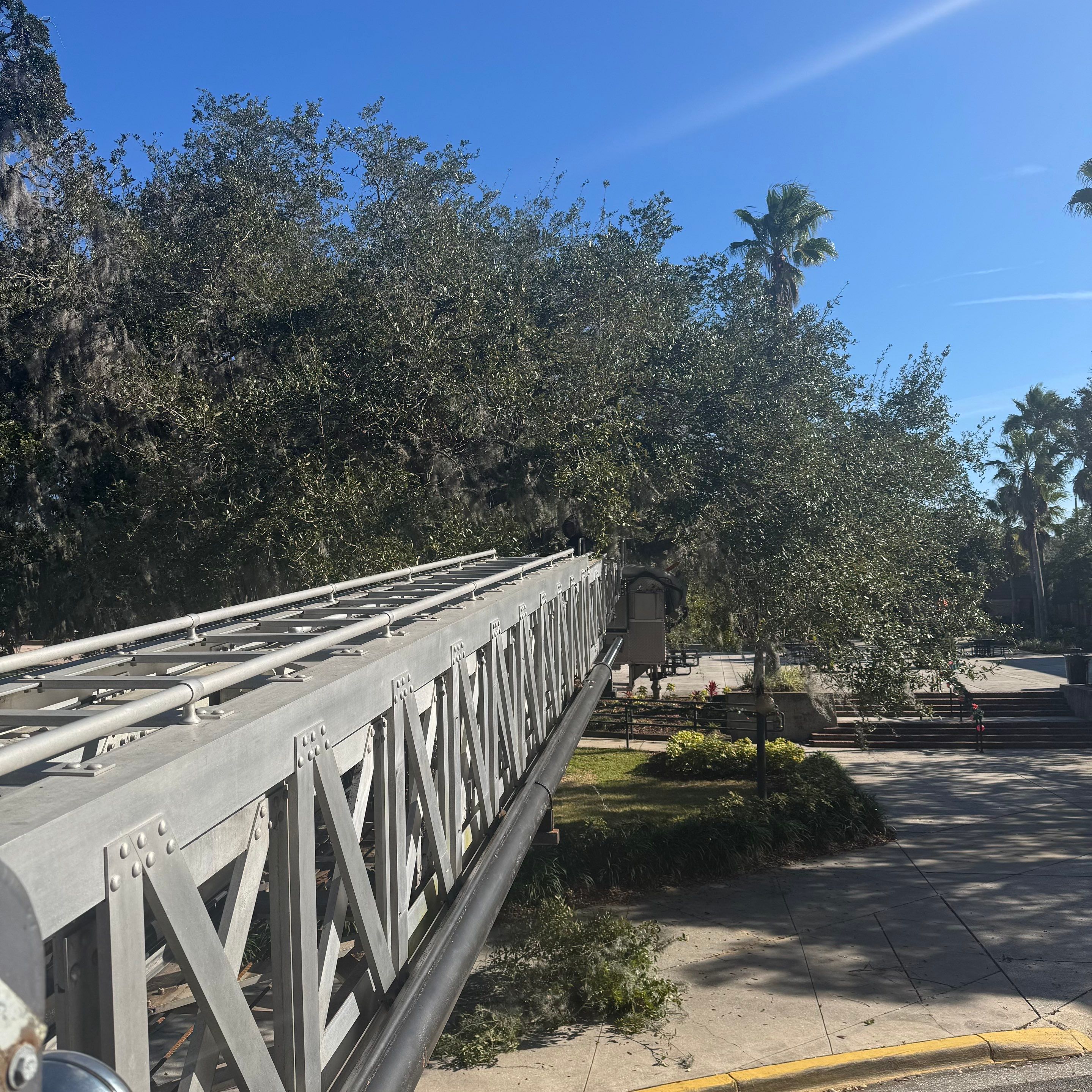 Volunteer Work | Episcopal High School of Jacksonville by ProGreen Services