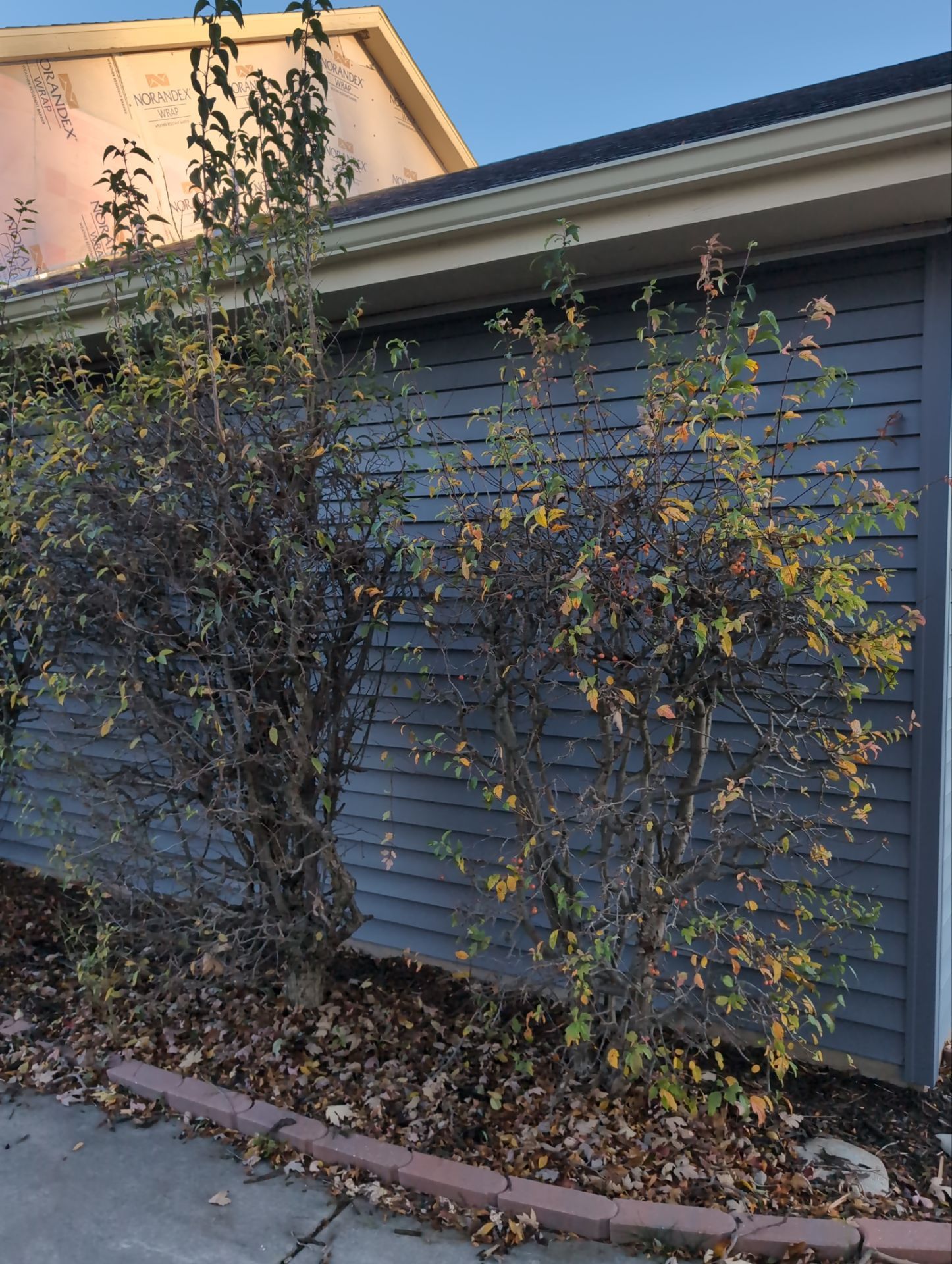 Sarah's Dream Renovation  by Gellings Roofing & Siding