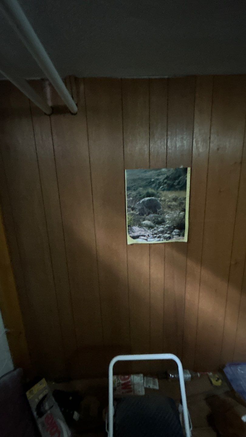 Mold Remediation by Accountable Home Services