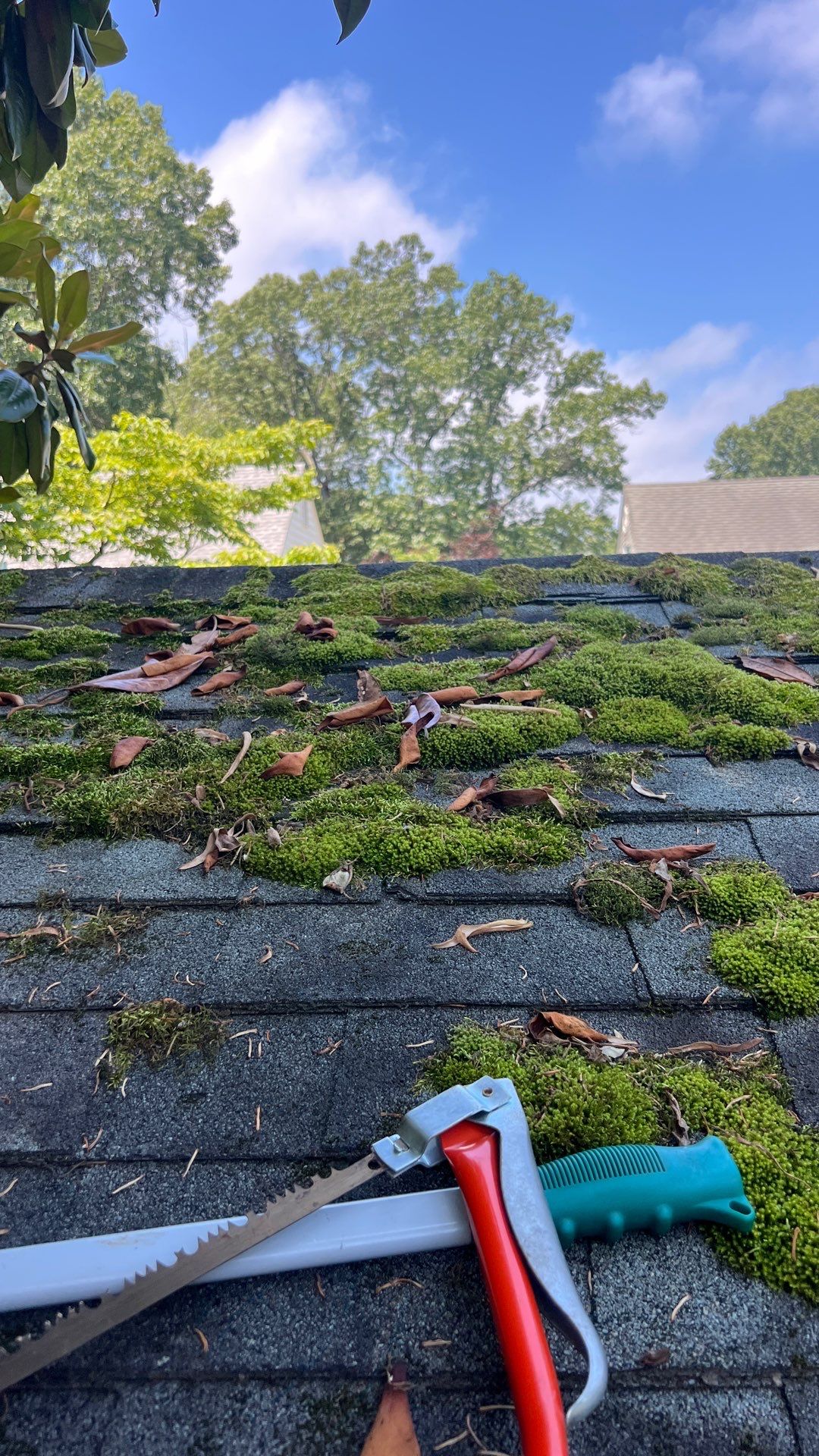 Project in Chester by Roof Maxx of Midlothian