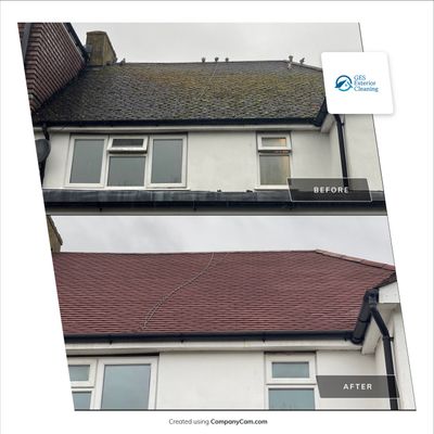 Roof Clean - Biocide Treatment using Mosmatic FSC and Biocide