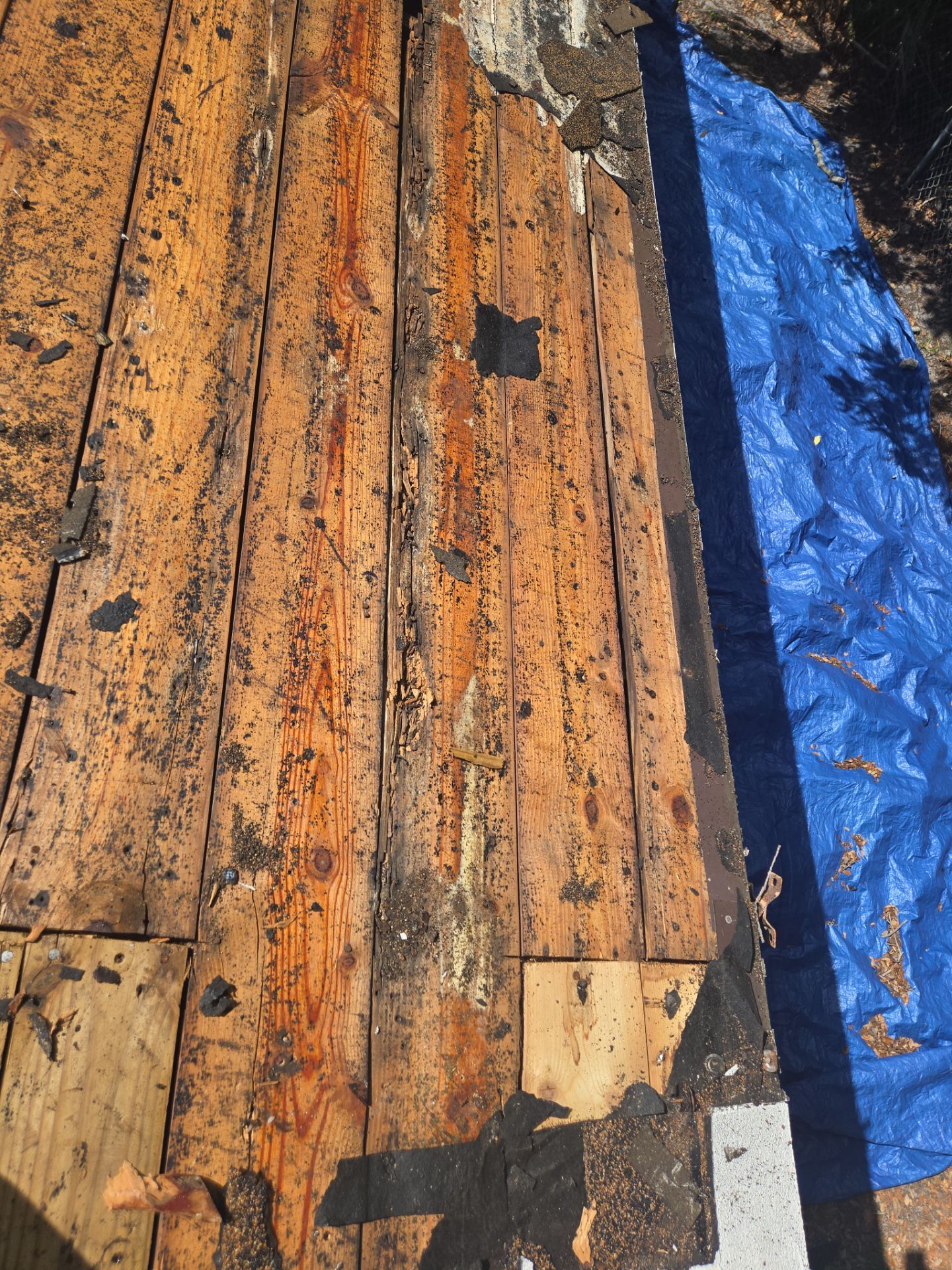 Project in St. Petersburg 33705 by Mitchell Roofing Company LLC 