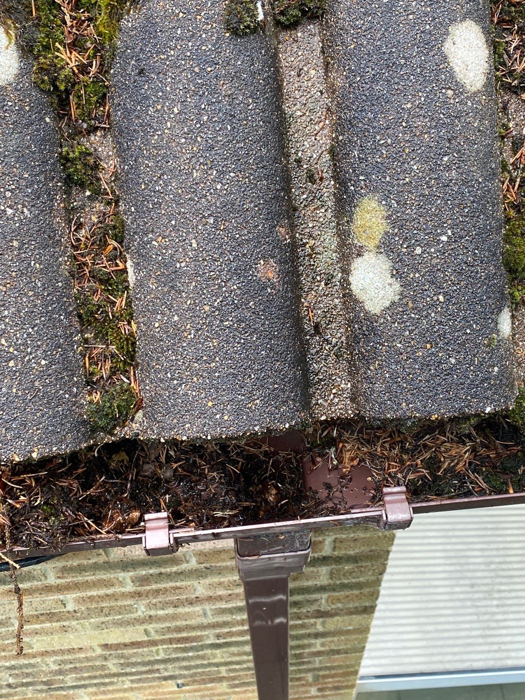 Roof Clean - Moss Removal using Honda 15lpm Low Pressure Washing Machine by Ges Exterior Cleaning ltd