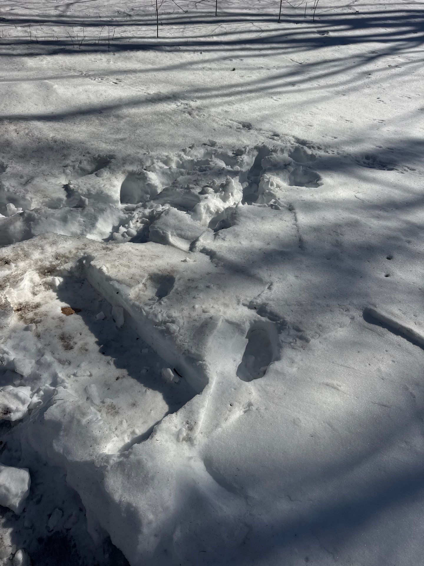 Snow/Ice Belt & Ice Dam Removal Project in Woburn by Mighty Dog Roofing of Greater Middlesex County