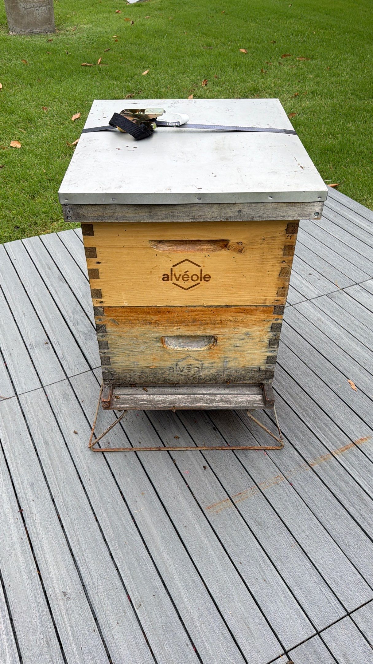 Platform Precious Population by Rockwall Honey Bee Company