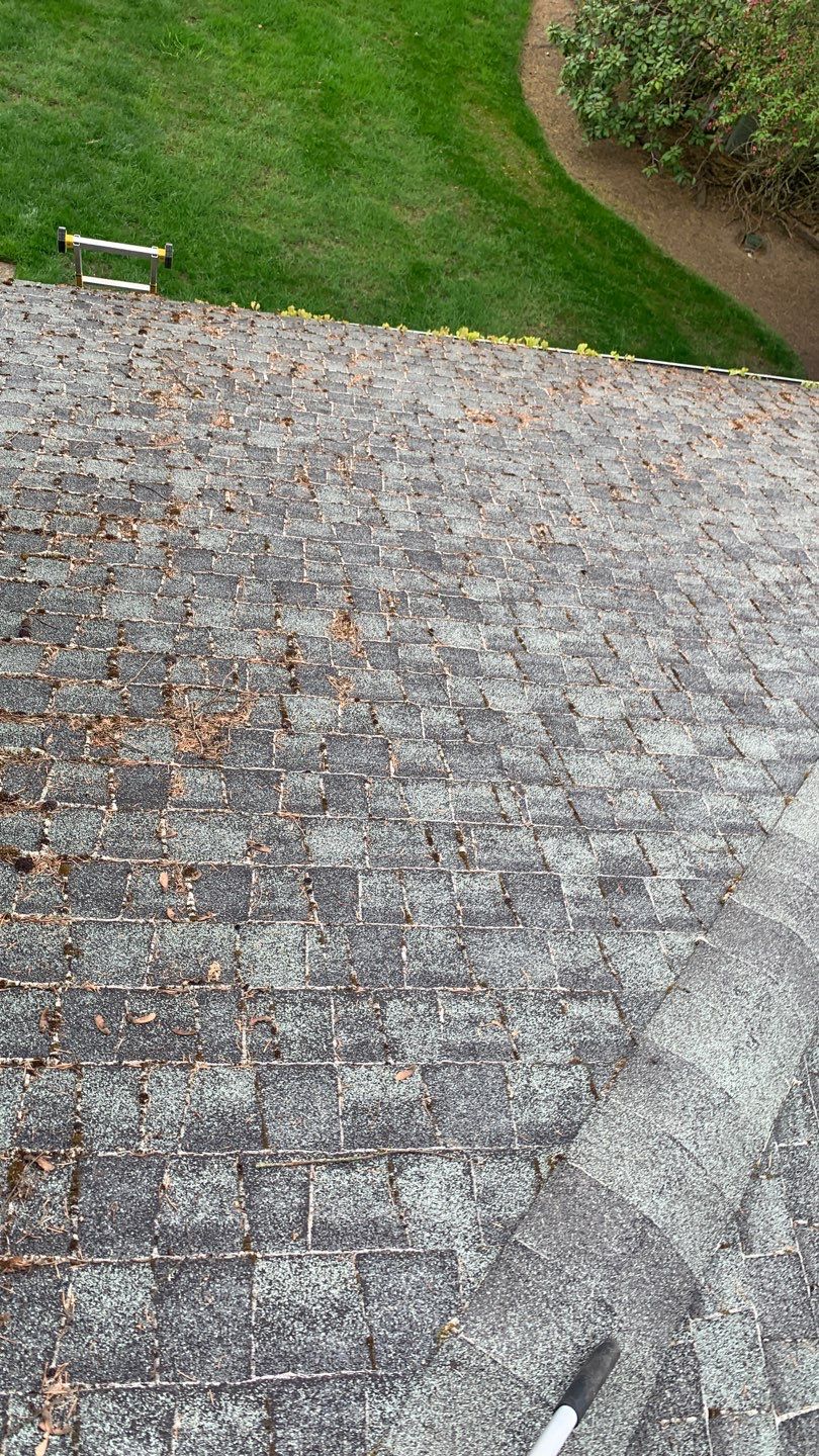 Softwashed in many Years back, and organic regrowth significant by DawnSky LLC