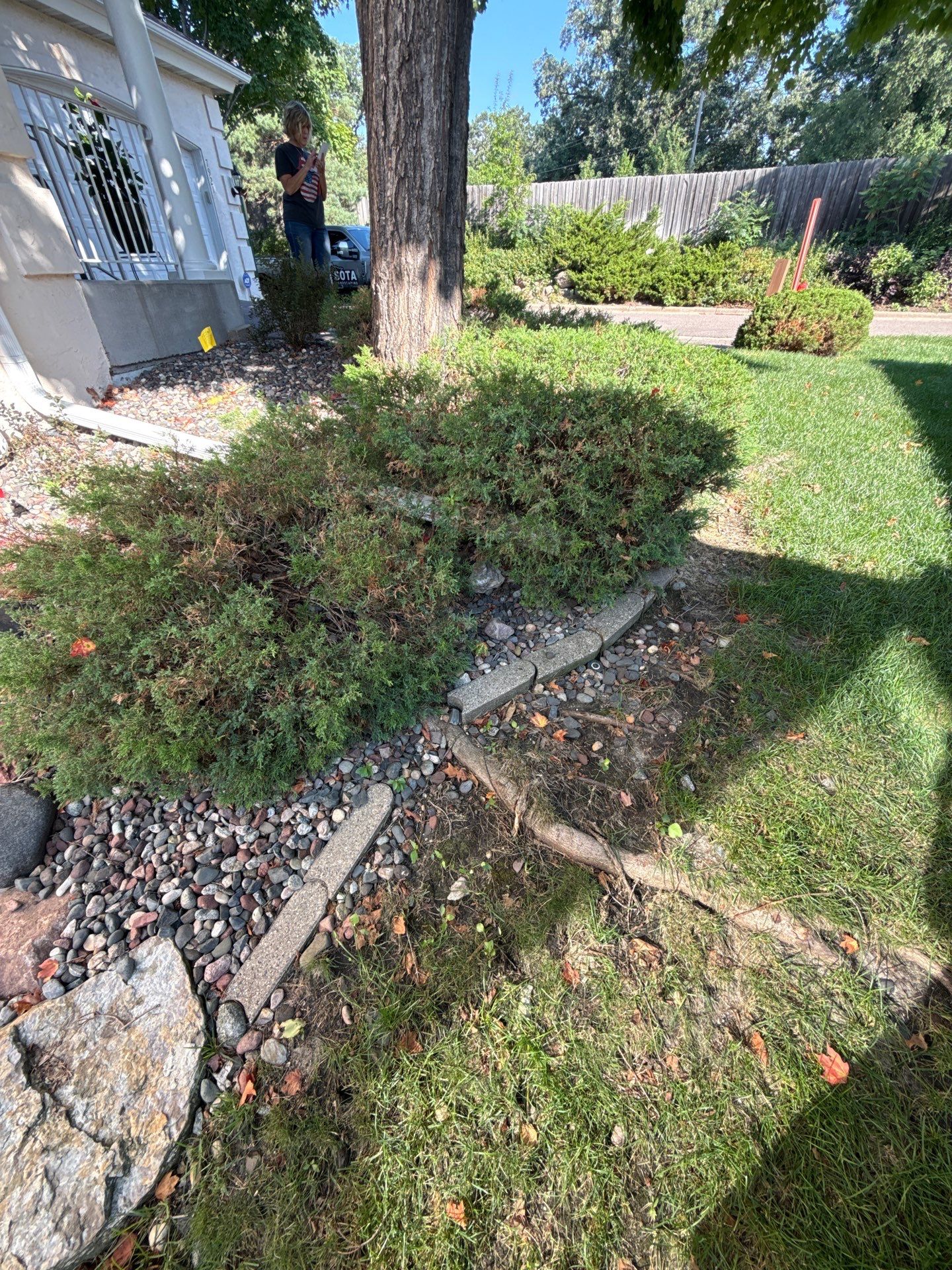 Landscape Renovation in Saint Louis Park by Sota landscaping